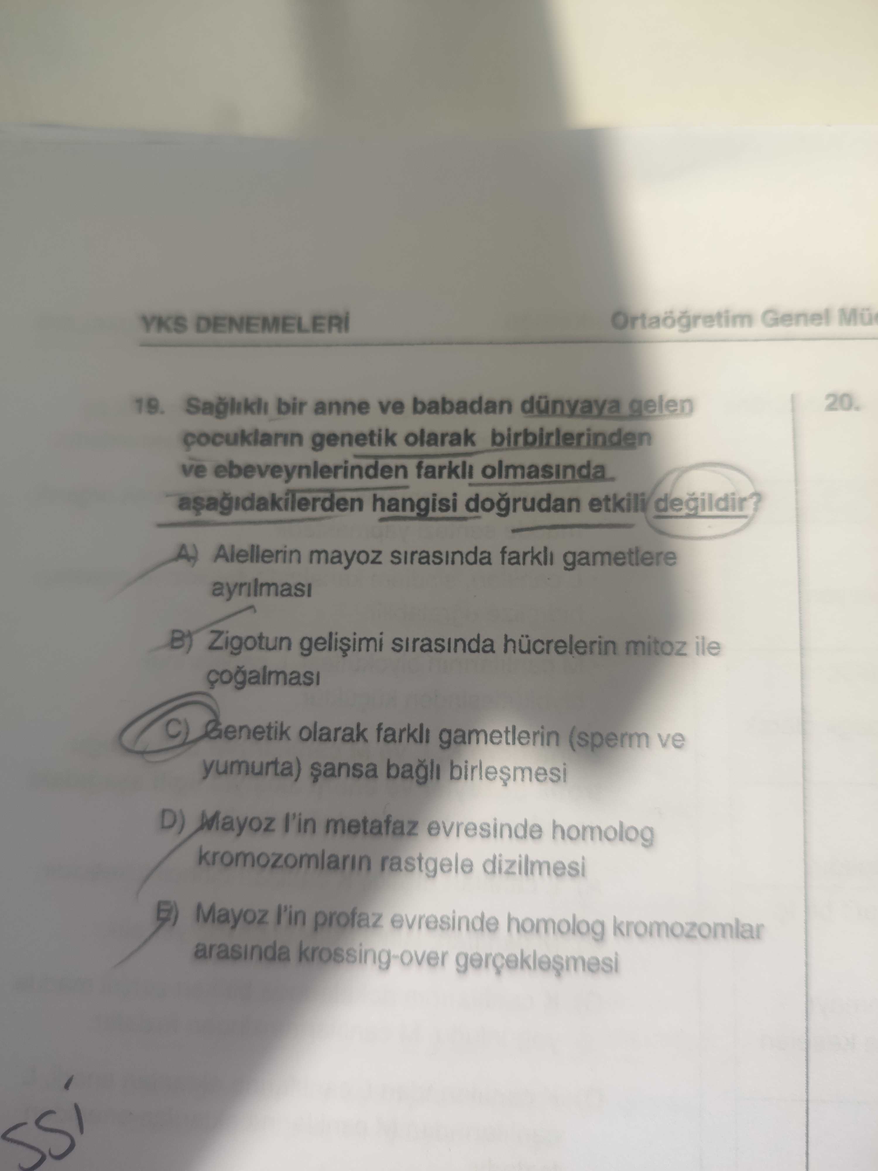 Sağlıklı bir anne ve babadan dünyaya gelen çocukların genetik olarak birbirlerinden ve