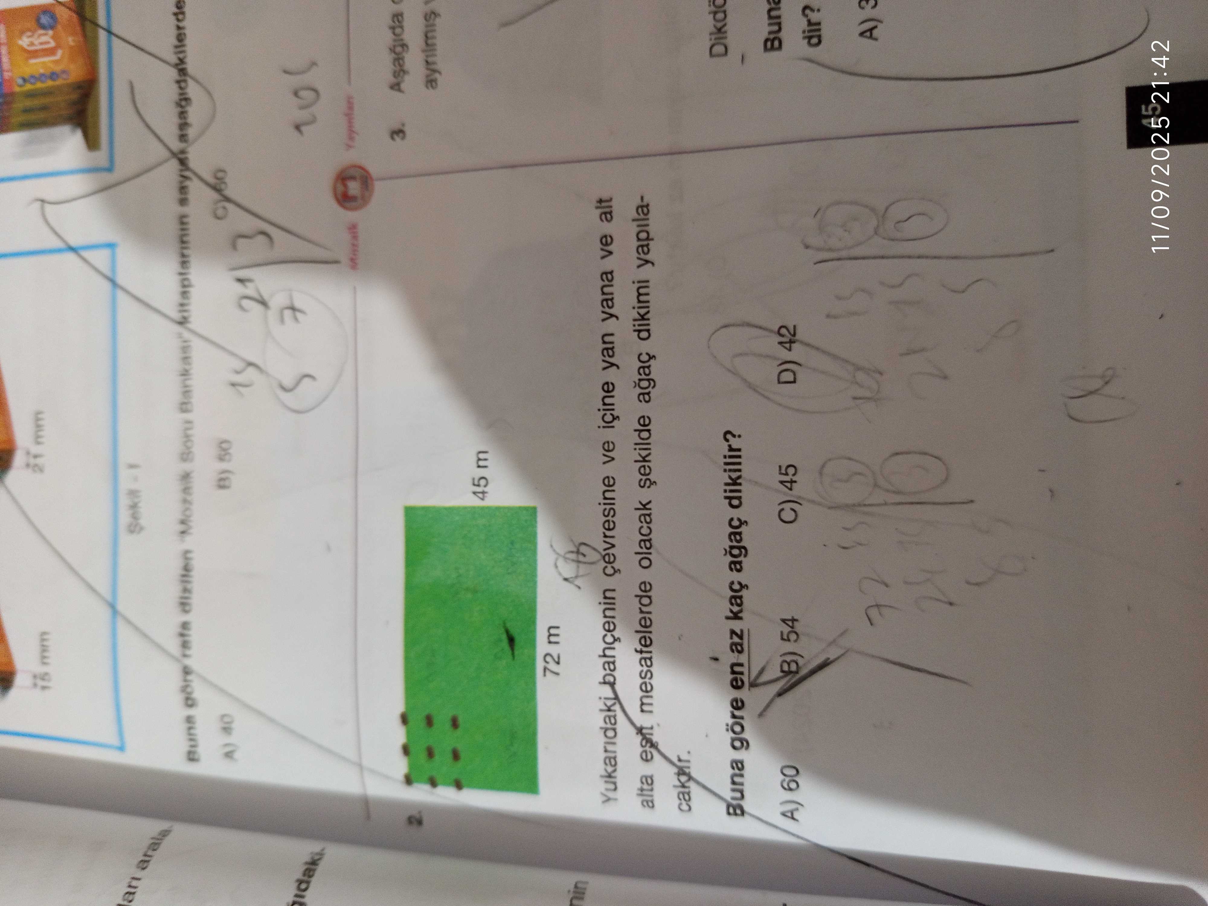 Matematik (8. Sınıf)