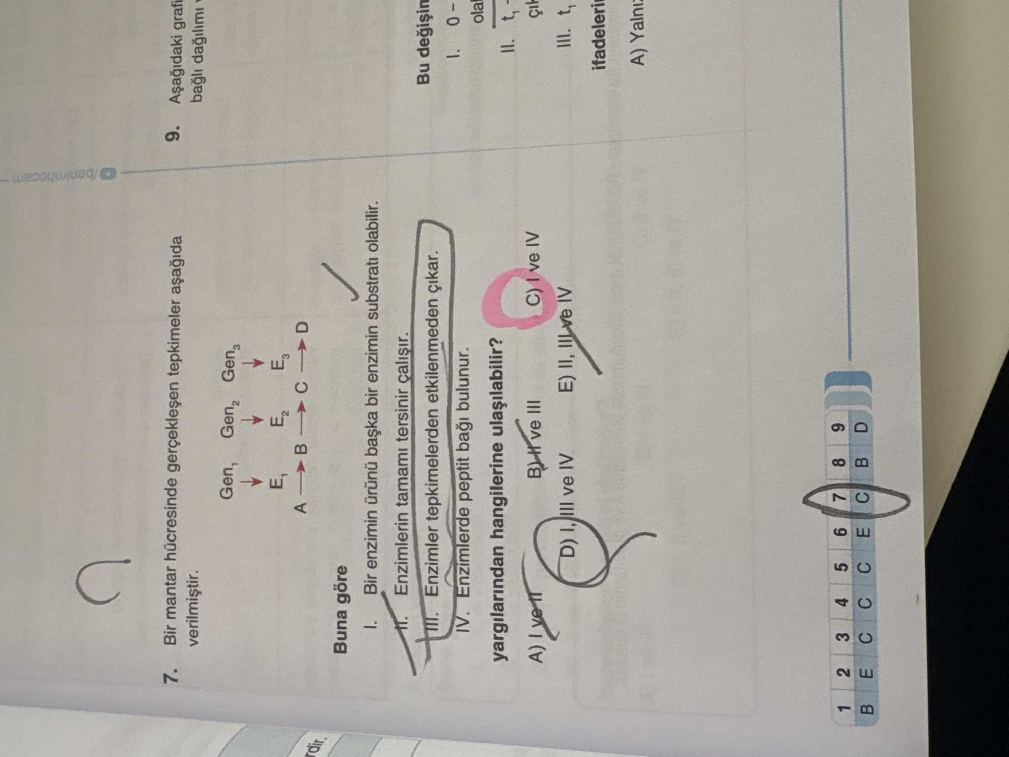 Bir mantar hücresinde gerçekleşen tepkimeler aşağıda verilmiştir. Gen₁ Gen₂ Gen₃ ↓ ↓ ↓ E₁ E₂ E₃ A → B → C → D Buna göre I. Bir