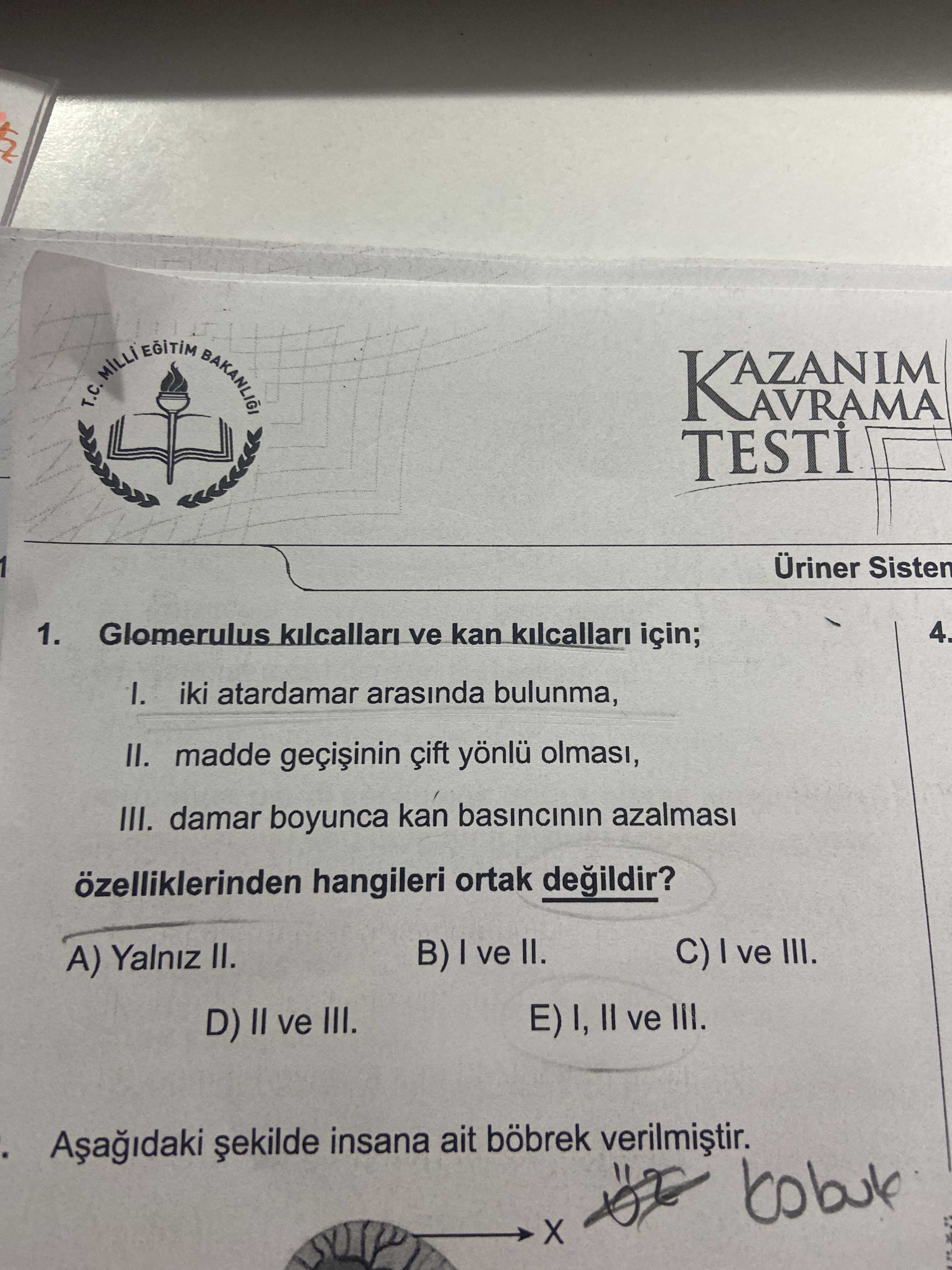 Glomerulus kılcalları ve kan kılcalları için; I. iki atardamar arasında bulunma, II. madde geçişinin