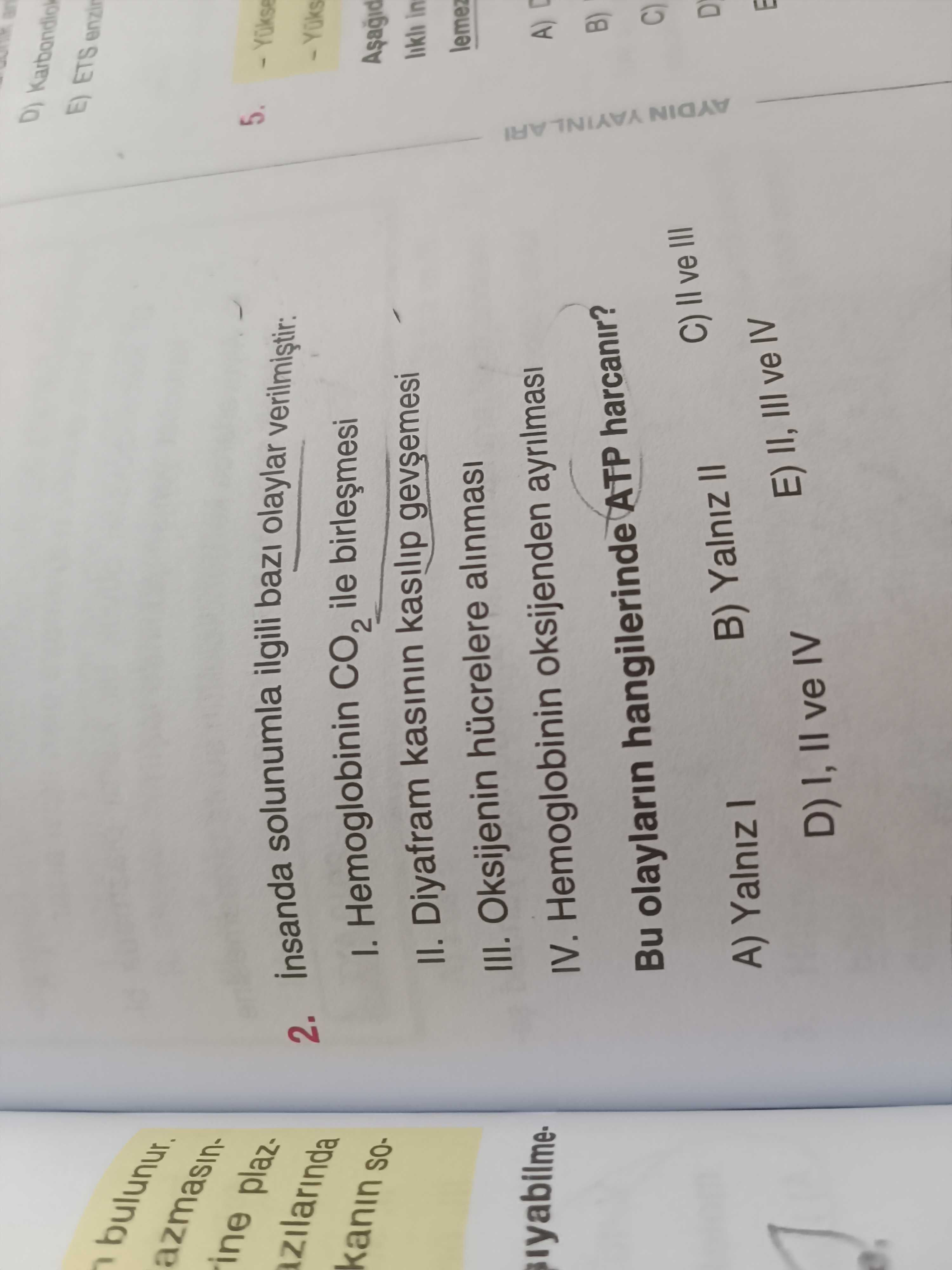 İnsanda solunumla ilgili bazı olaylar verilmiştir: I. Hemoglobinin CO₂ ile birleşmesi II. Diyafram