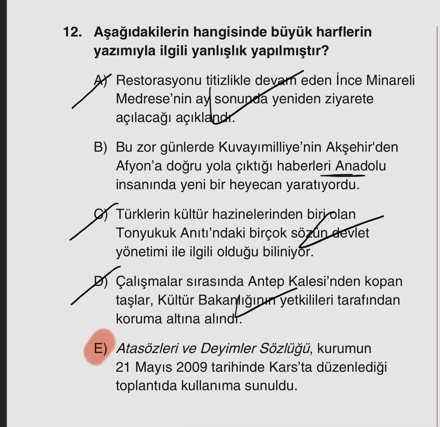 Aşağıdakilerin hangisinde büyük harflerin yazımıyla ilgili yanlışlık yapılmıştır?