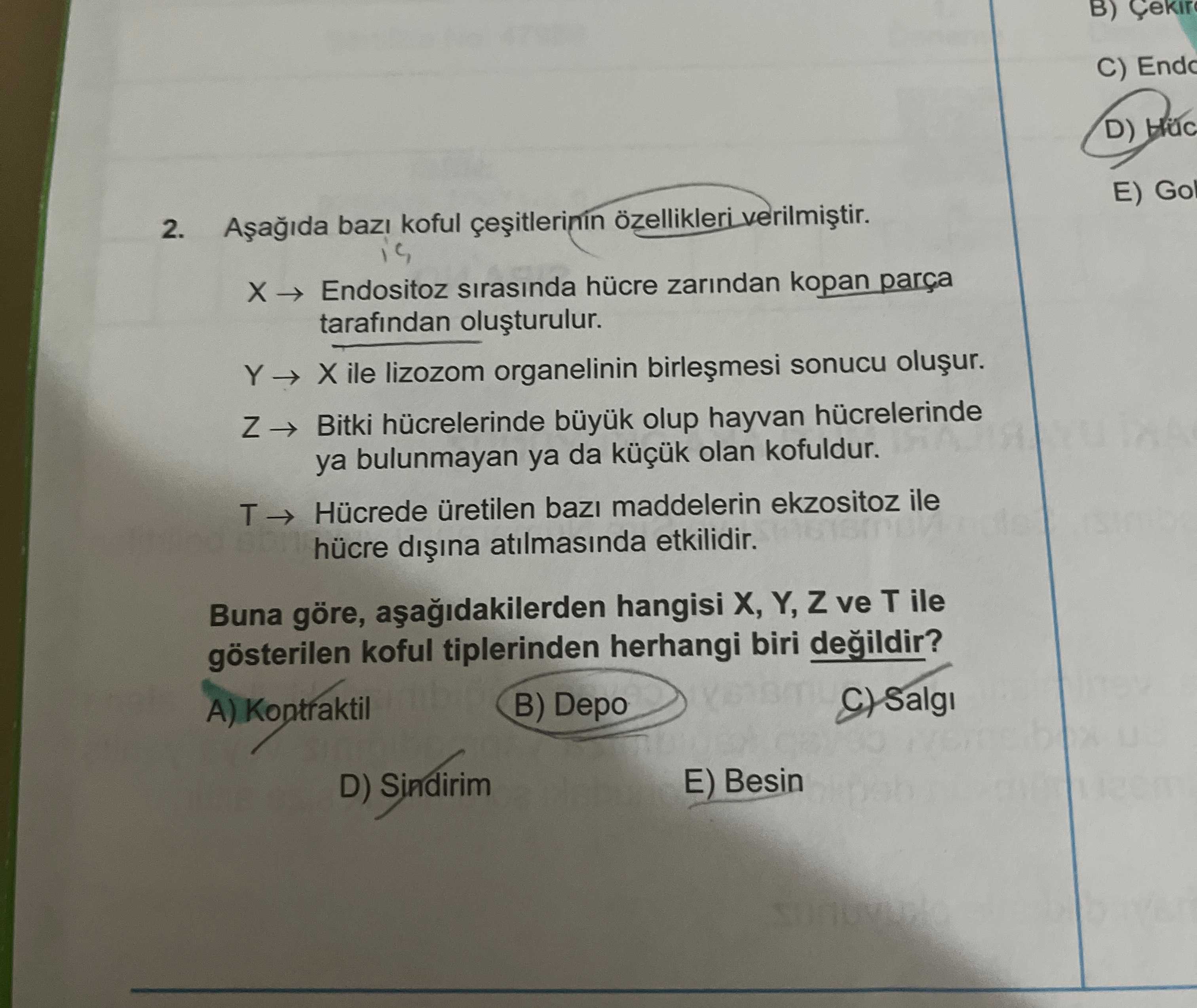Aşağıda bazı kofül çeşitlerinin özellikleri verilmiştir. X → Endositoz sırasında hücre zarından
