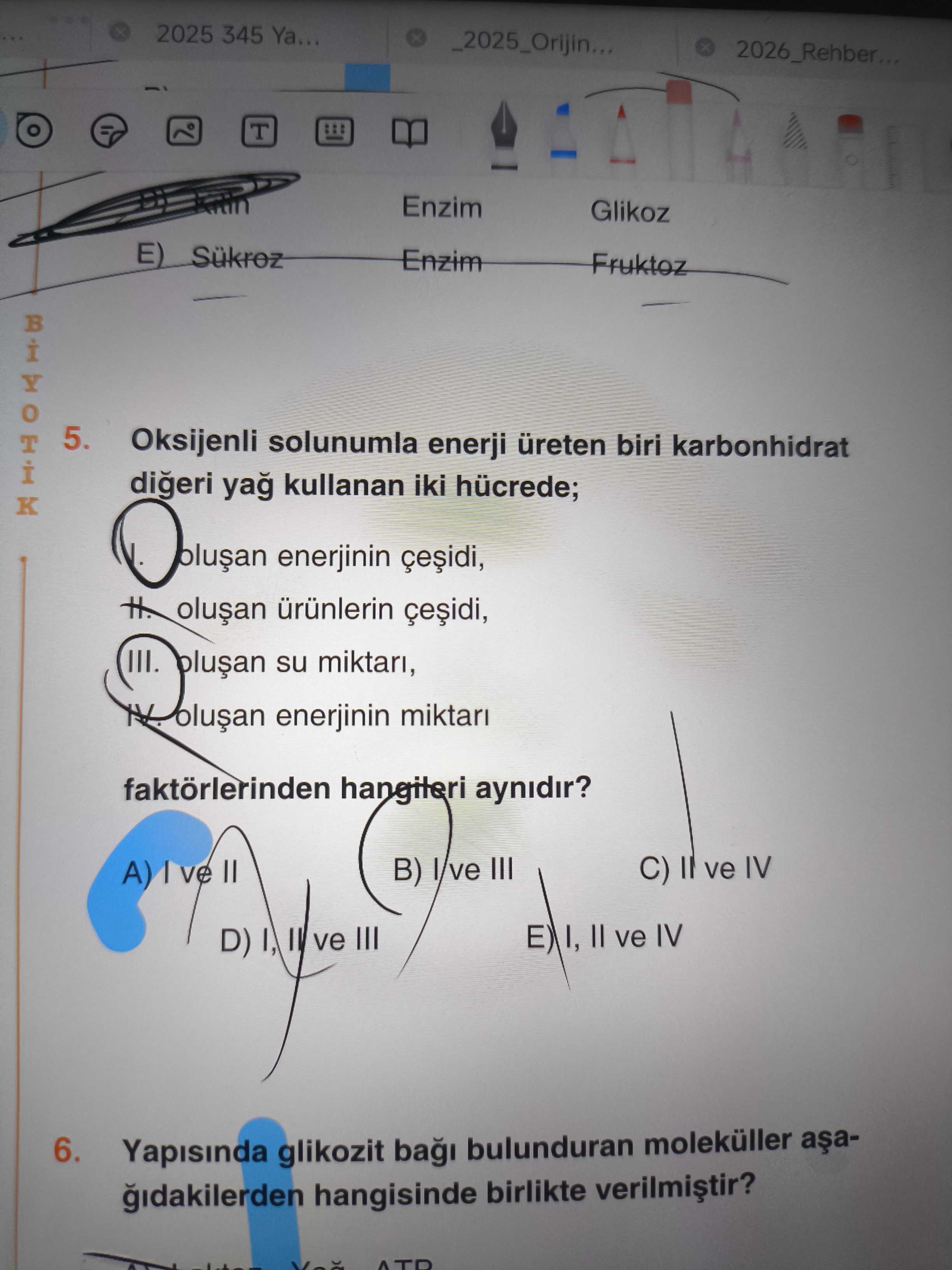 Oksijenli solunumla enerji üreten biri karbonhidrat diğeri yağ kullanan iki hücrede; I. oluşan
