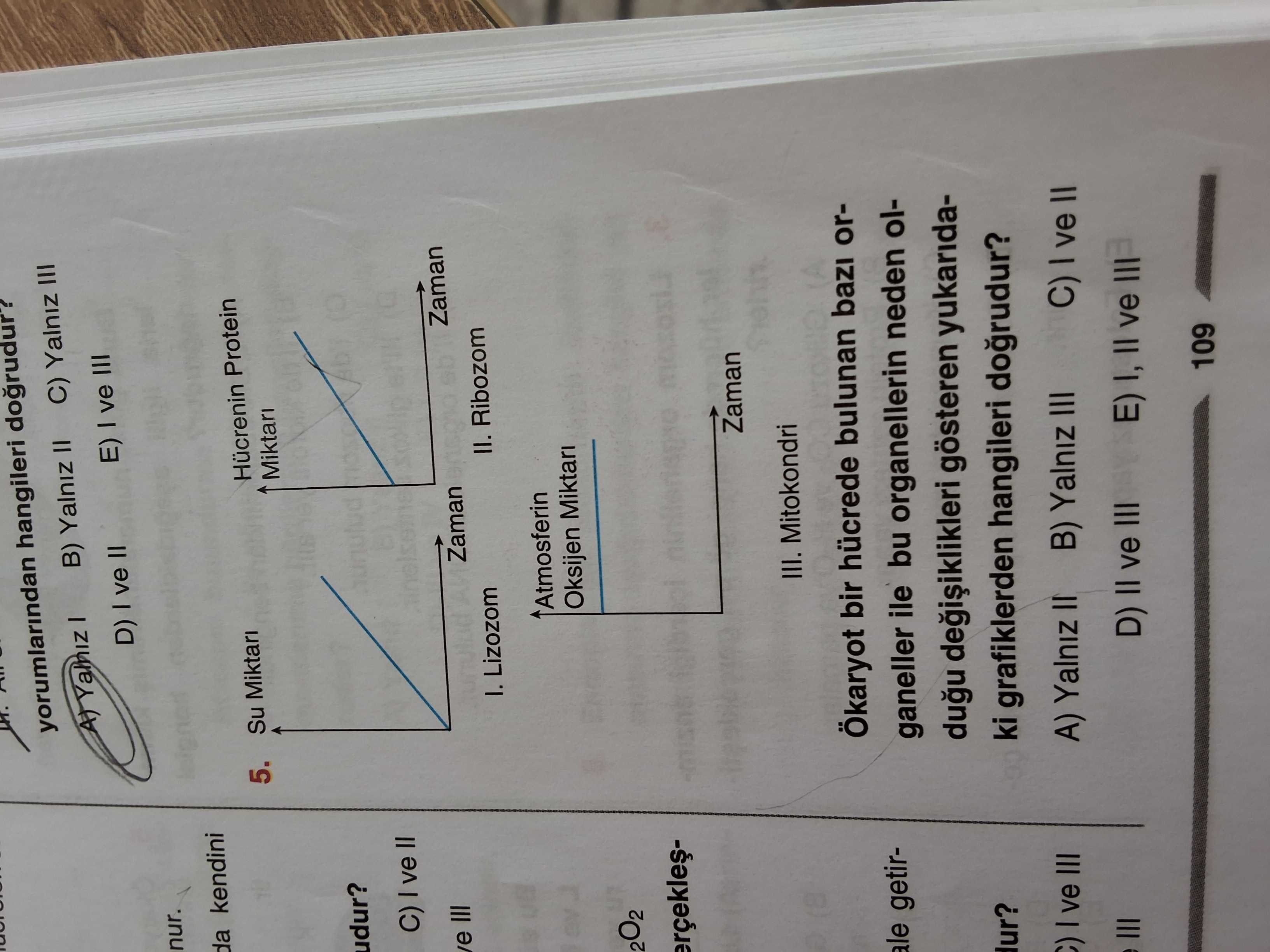 Biyoloji (12. Sınıf)