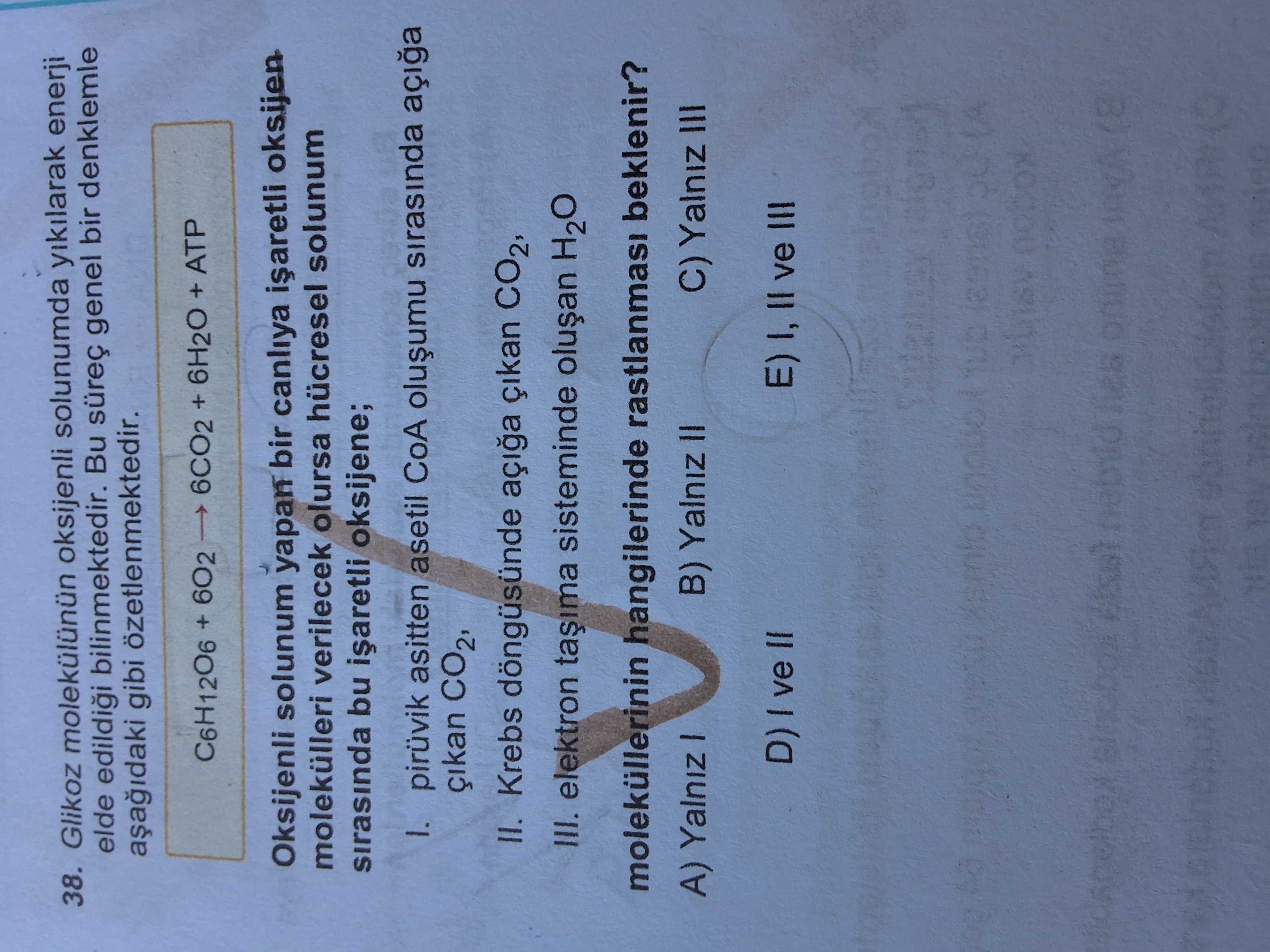 Glikoz molekülünün oksijenli solunumda yıkılarak enerji elde edildiği bilinmektedir. Bu süreç genel
