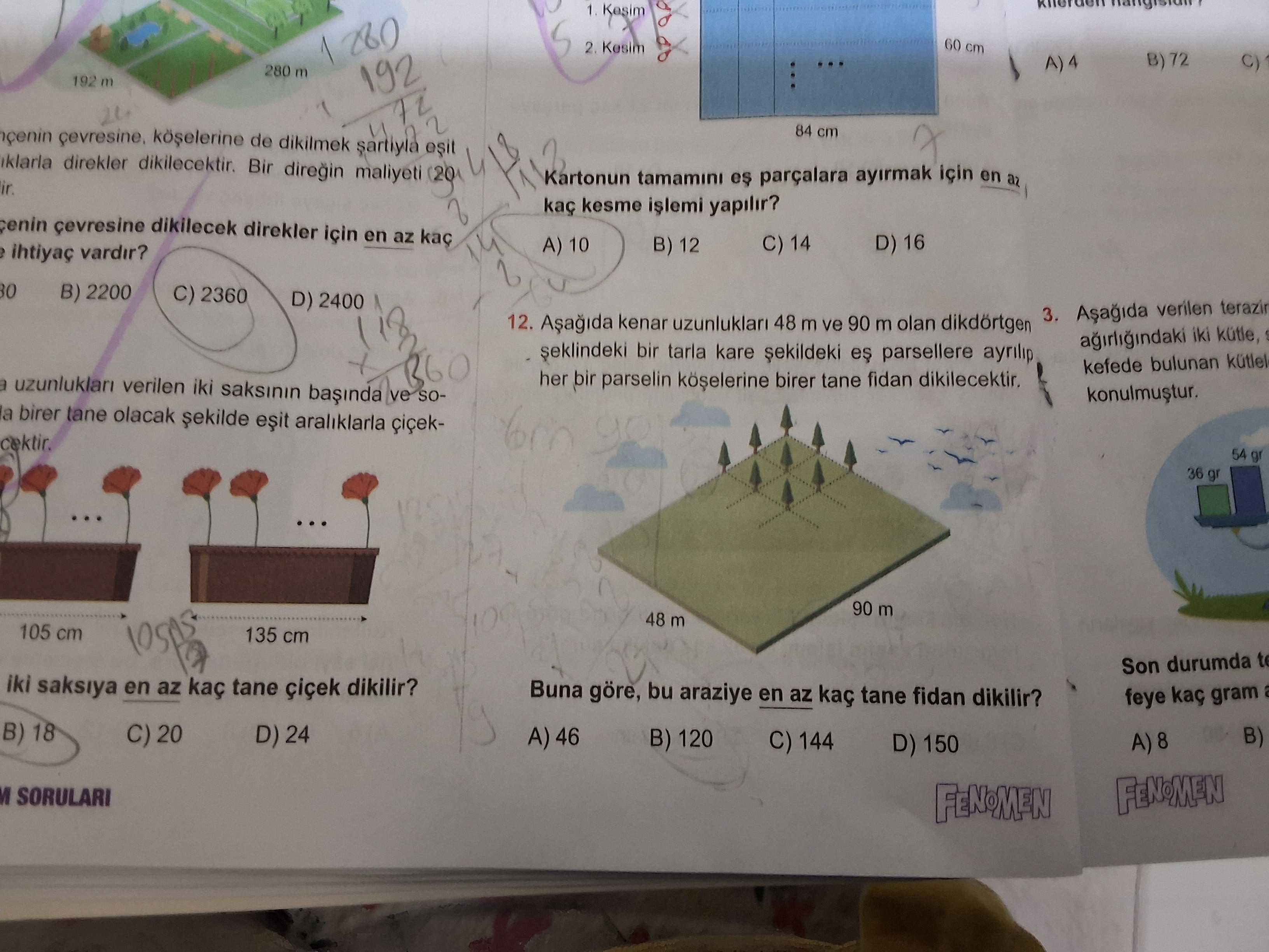Matematik (8. Sınıf)