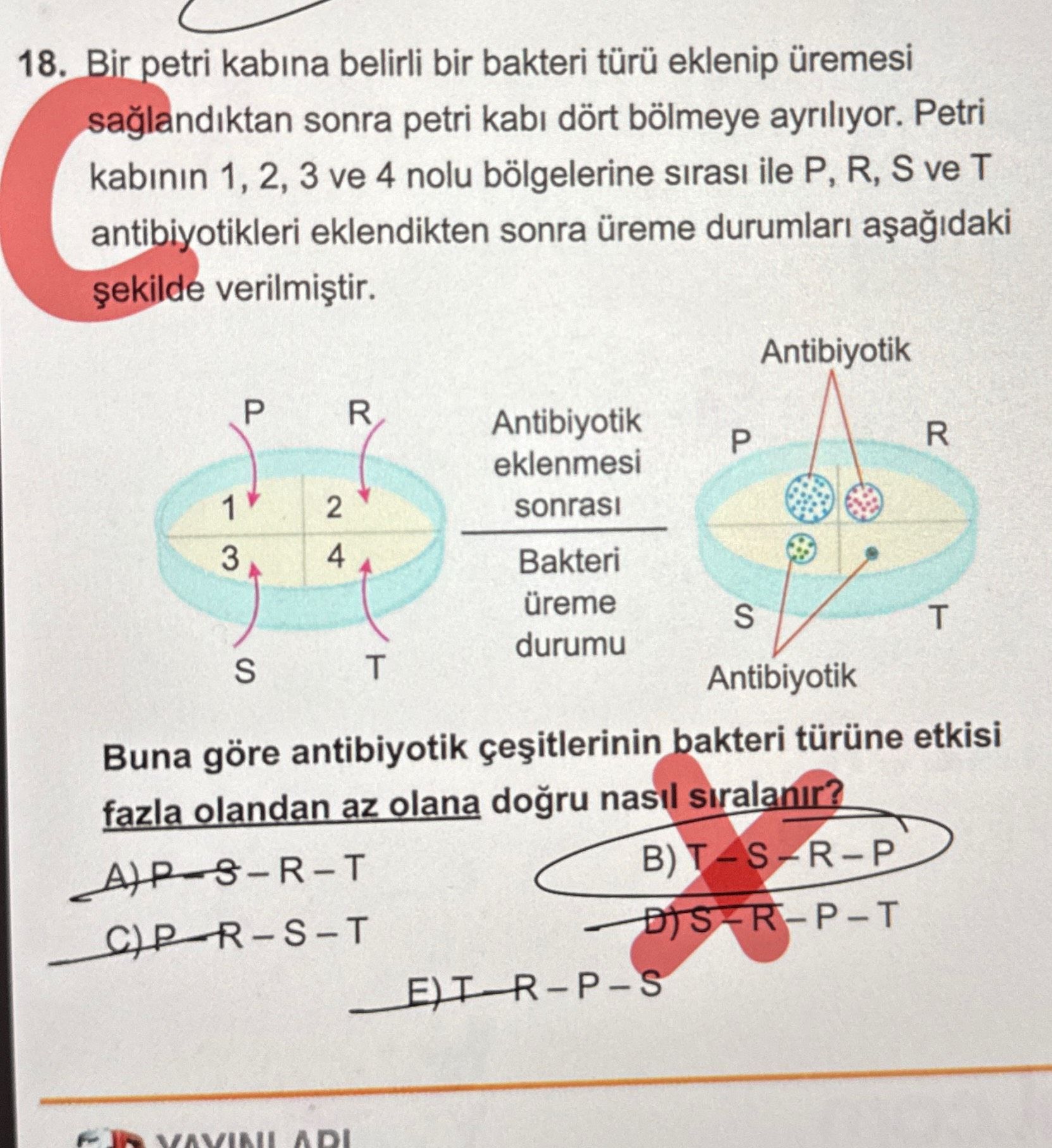 Bir petri kabına belirli bir bakteri türü eklenip üremesi sağlandıktan sonra petri kabı dört bölmeye