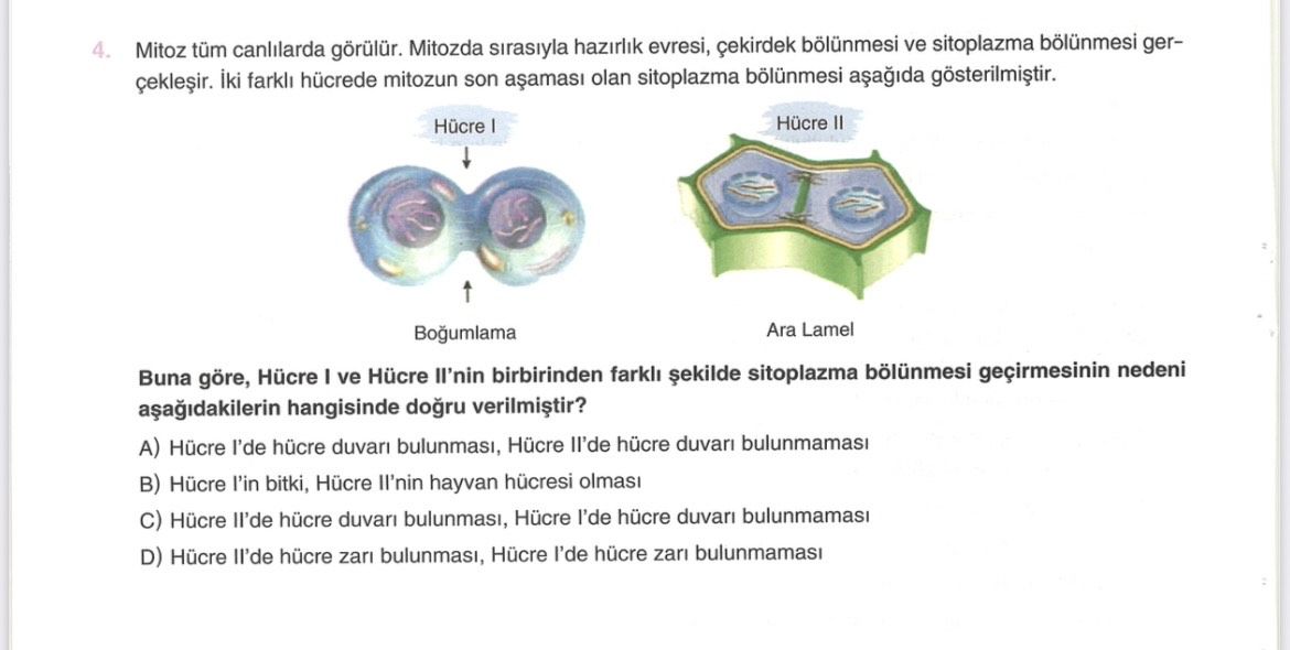 Fen Bilimleri (8. Sınıf)
