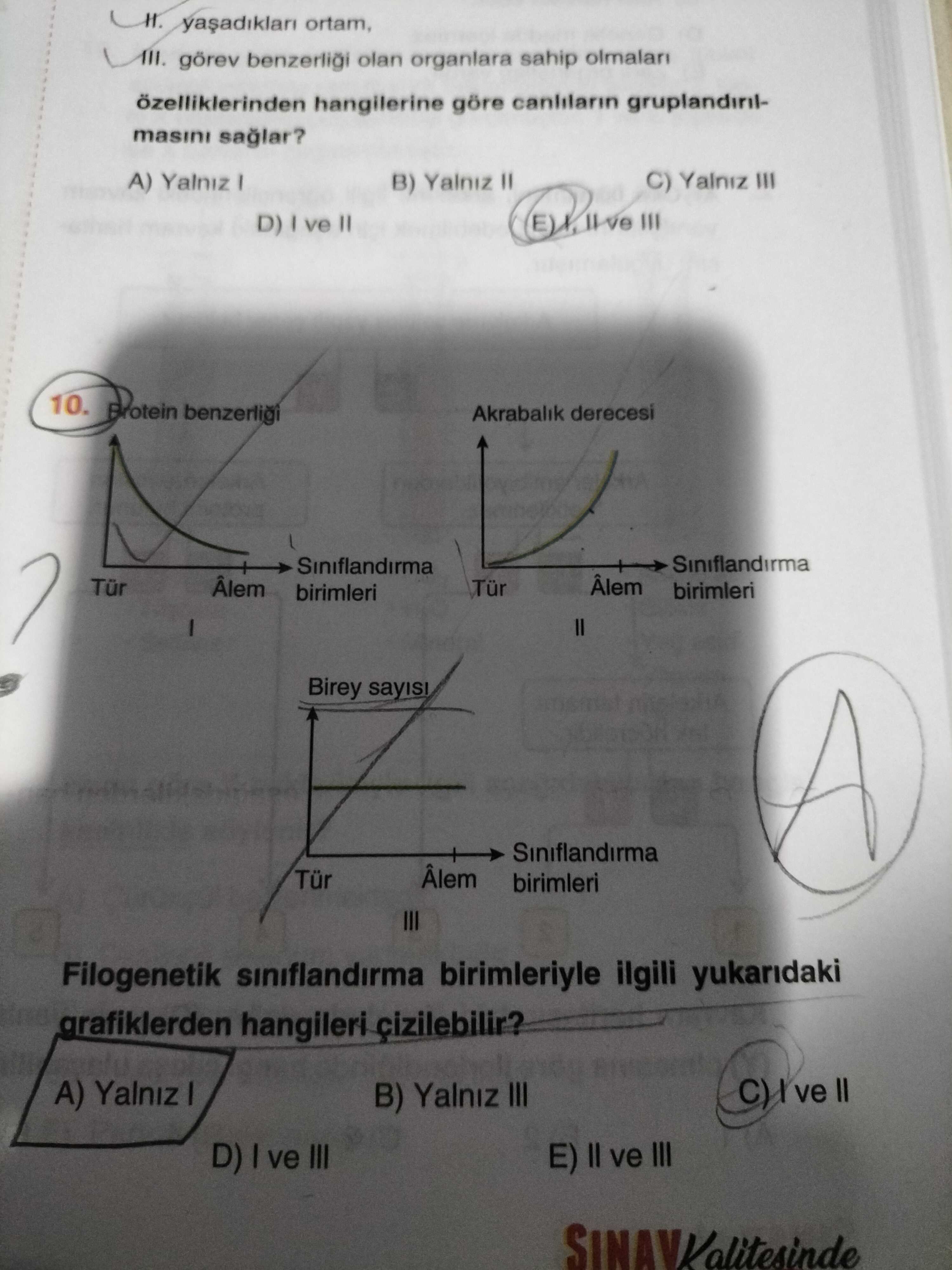 Biyoloji (12. Sınıf)