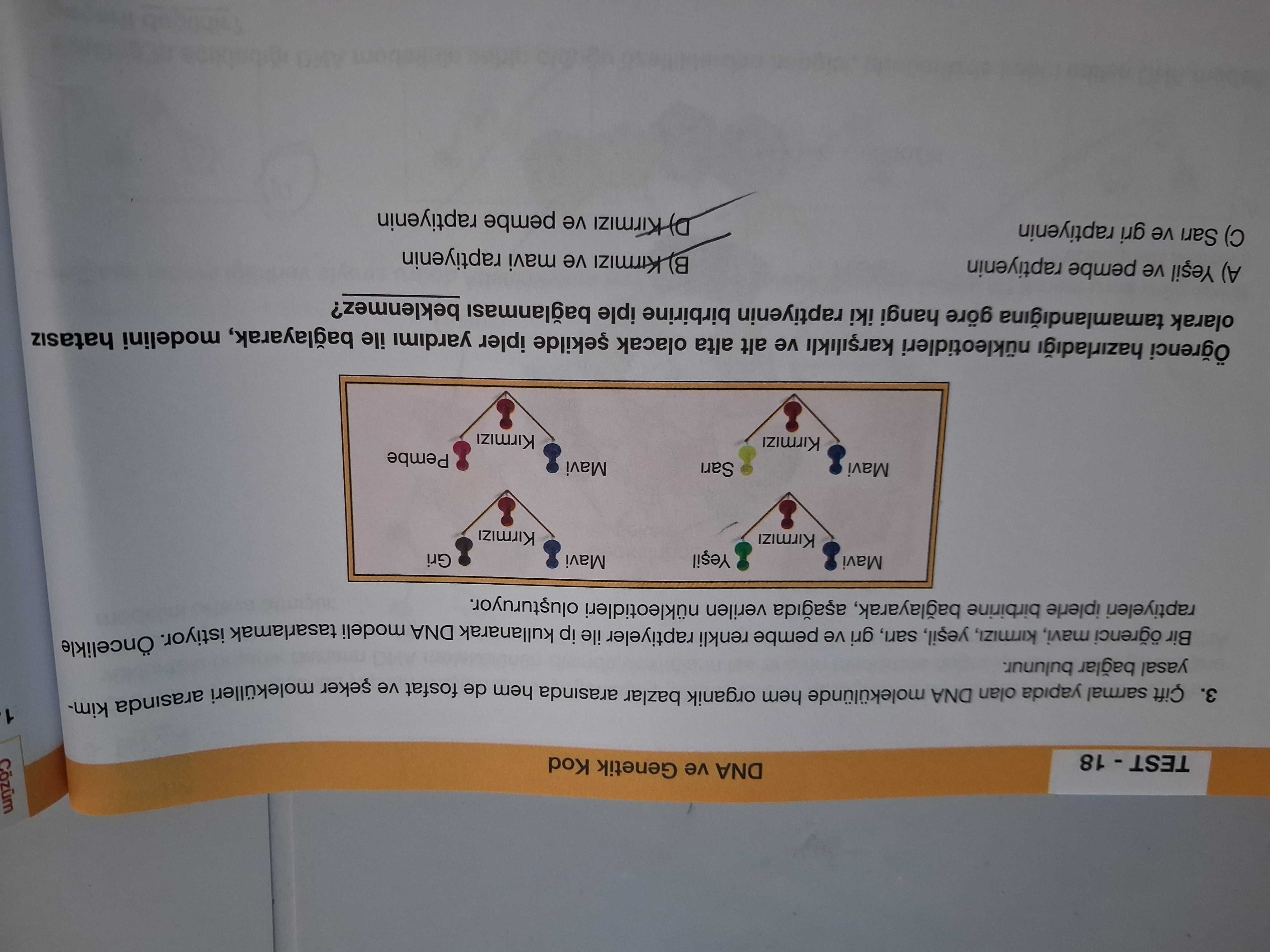 Fen Bilimleri (7. Sınıf)