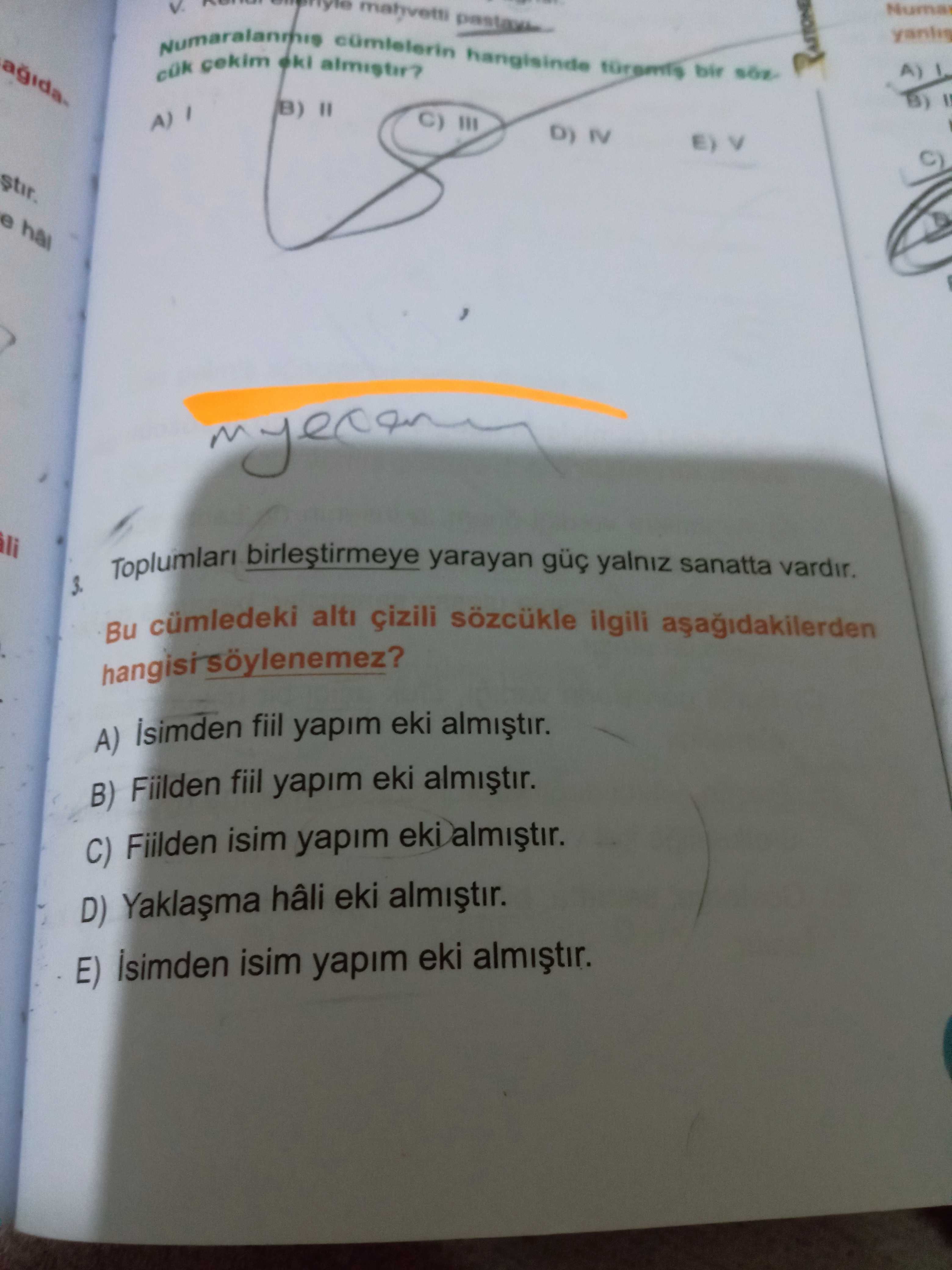 Türkçe (Mezun)