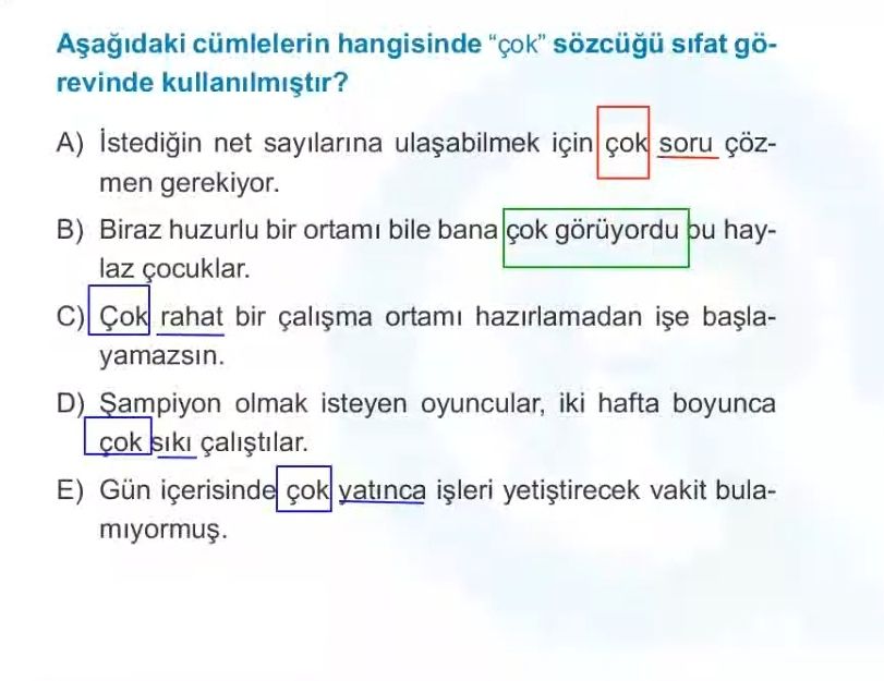 Türkçe (Mezun)