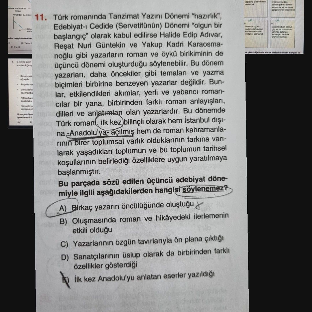 Türkçe (Mezun)