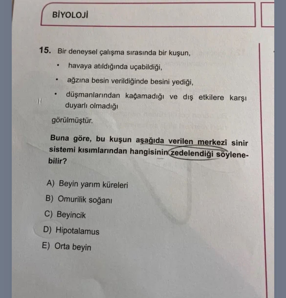 Bir deneysel çalışma sırasında bir kuşun, • havaya atıldığında uçabildiği, • ağzına besin