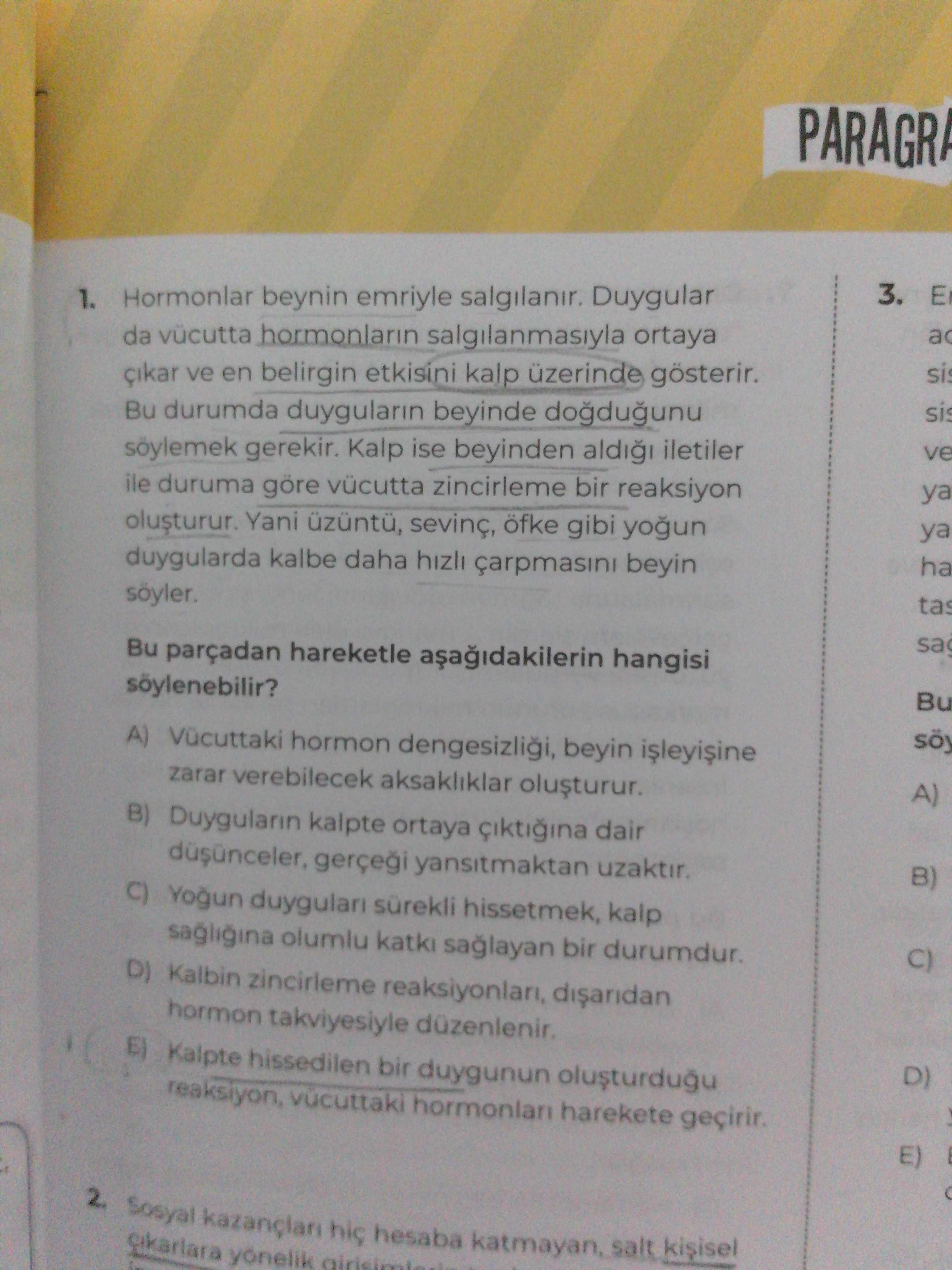 Türkçe (12. Sınıf)