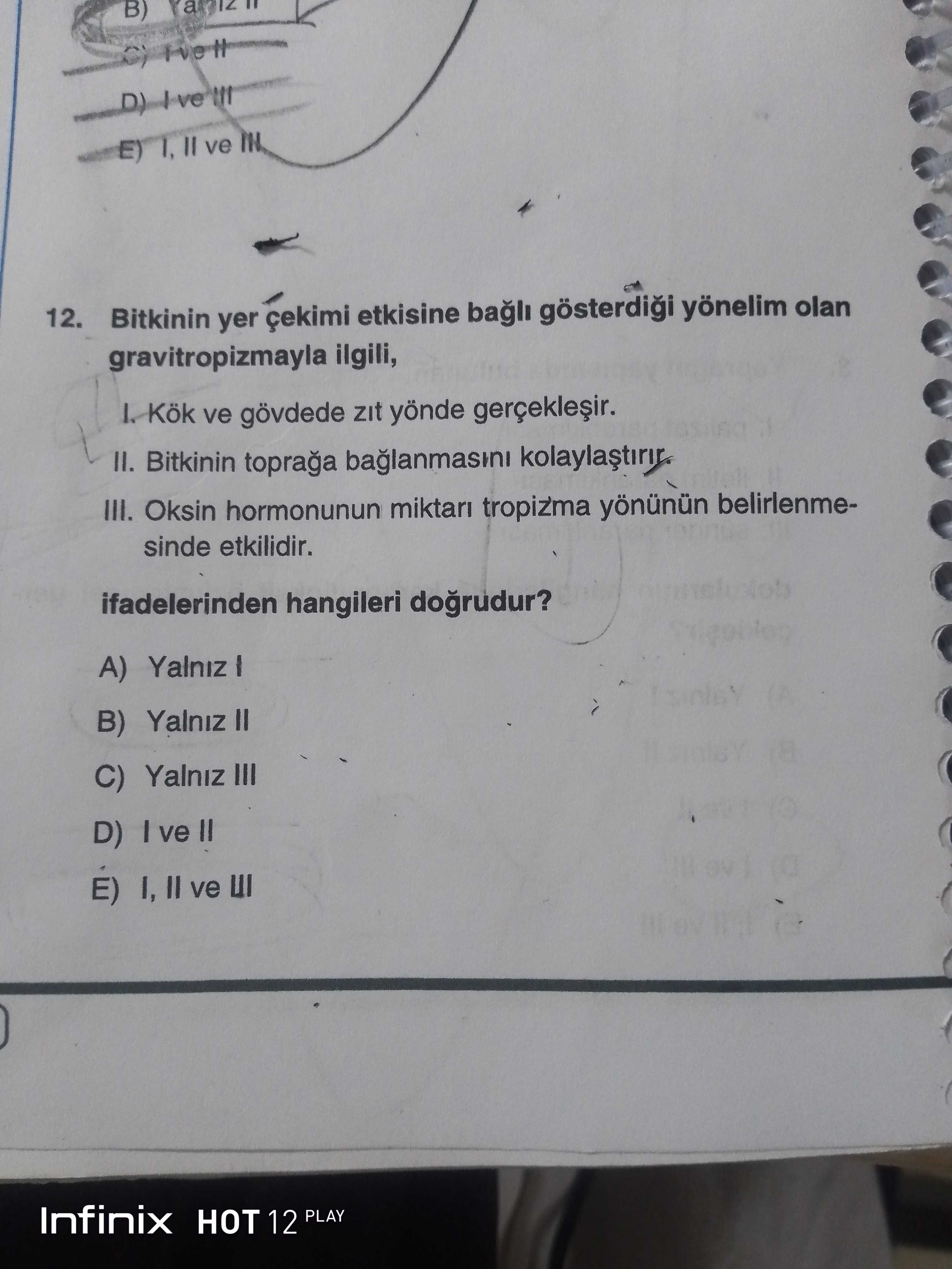 Bitkinin yer çekimi etkisine bağlı gösterdiği yönelim olan gravitropizmayla ilgili, I. Kök ve