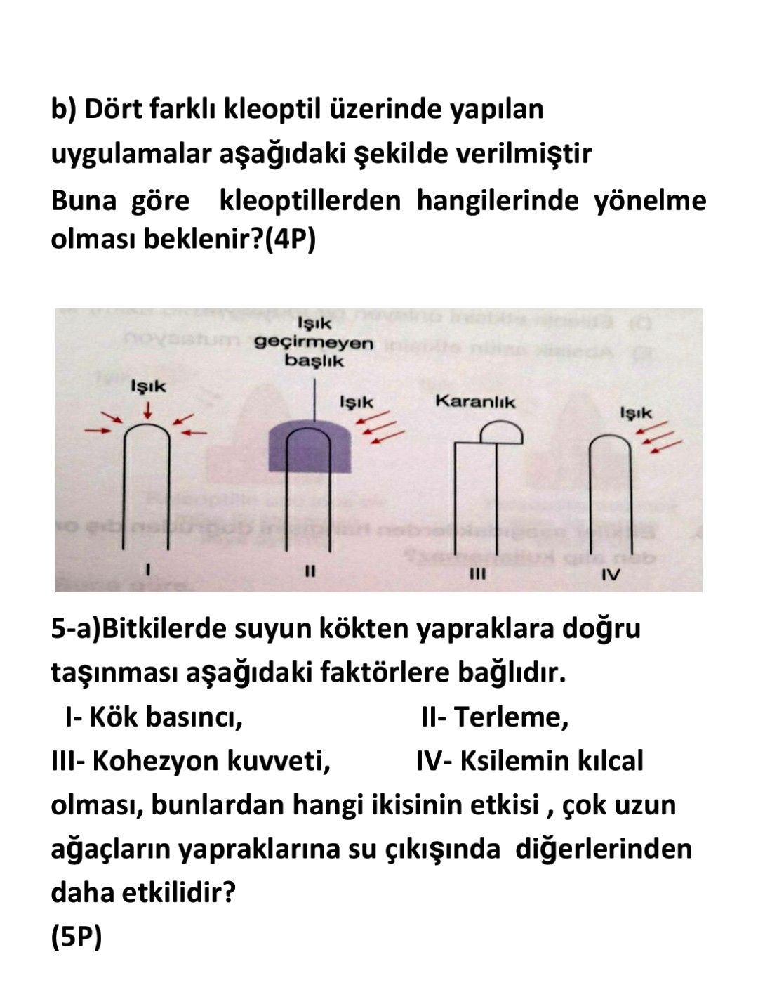 b) Dört farklı kleoptil üzerinde yapılan uygulamalar aşağıdaki şekilde verilmiştir Buna göre