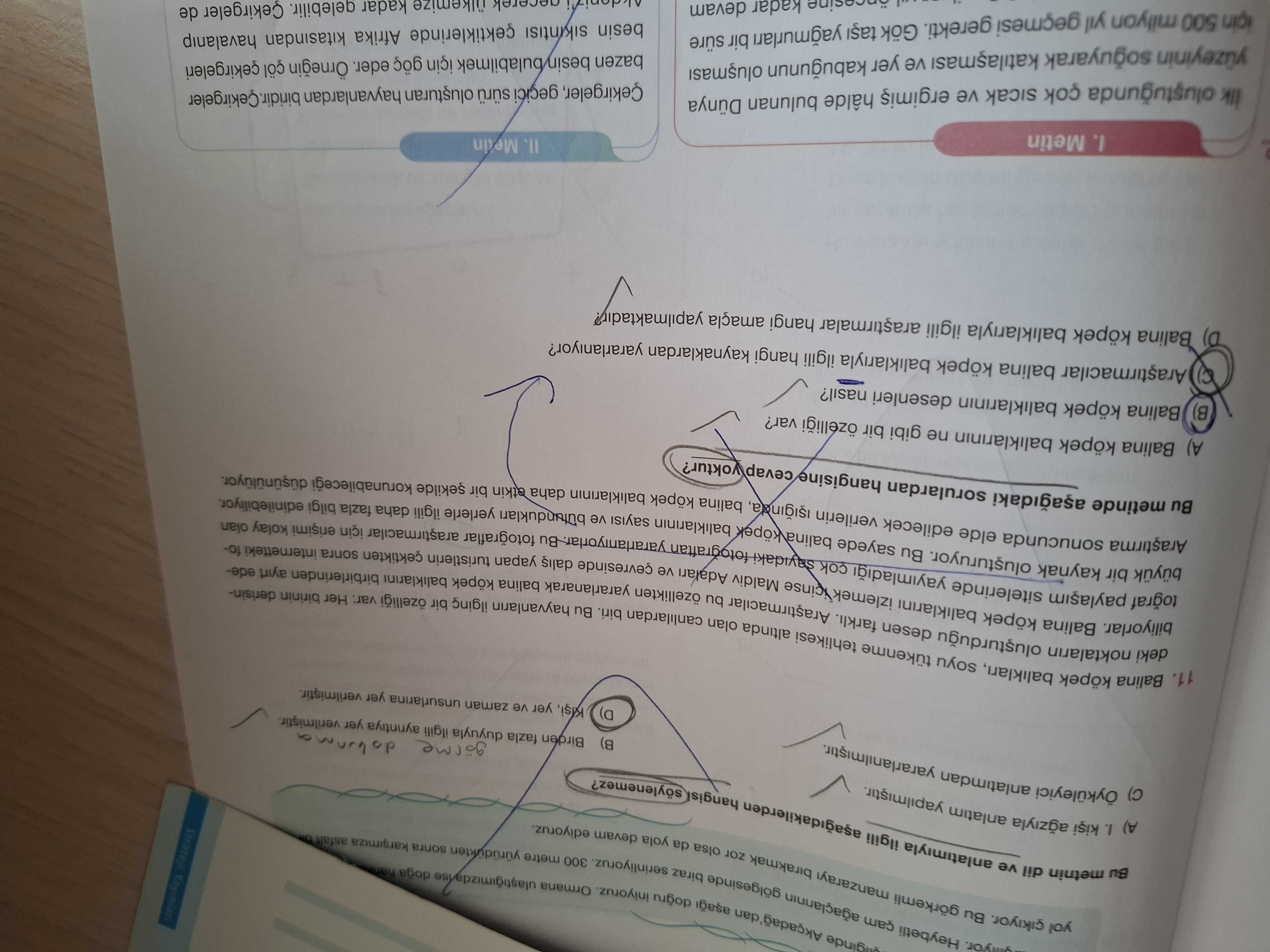 Balina köpek balıkları, soyu tükenme tehlikesi altında olan canlılardan biri. Araştırmacılar bu