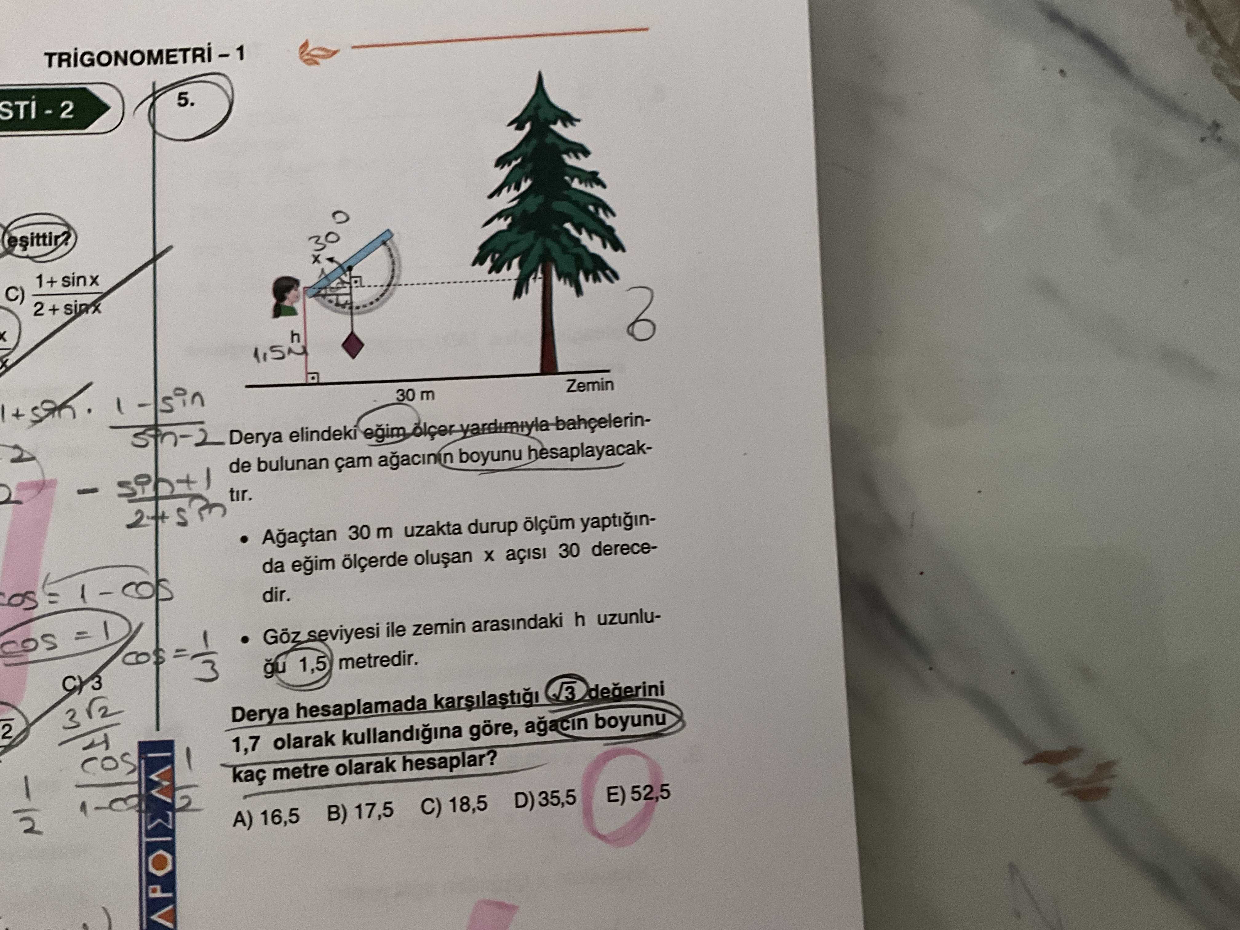 Derya elindeki eğim ölçer yardımıyla bahçelerinde bulunan çam ağacının boyunu hesaplayacaktır. •