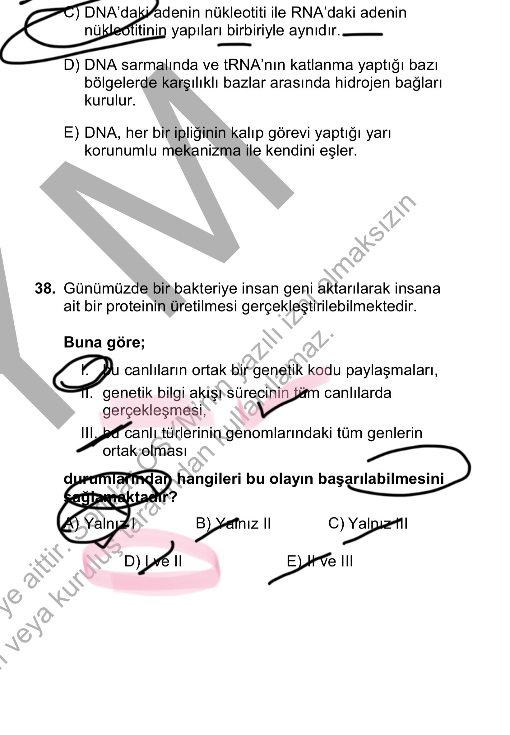 Günümüzde bir bakteriye insan geni aktarılarak insana ait bir proteinin üretilmesi