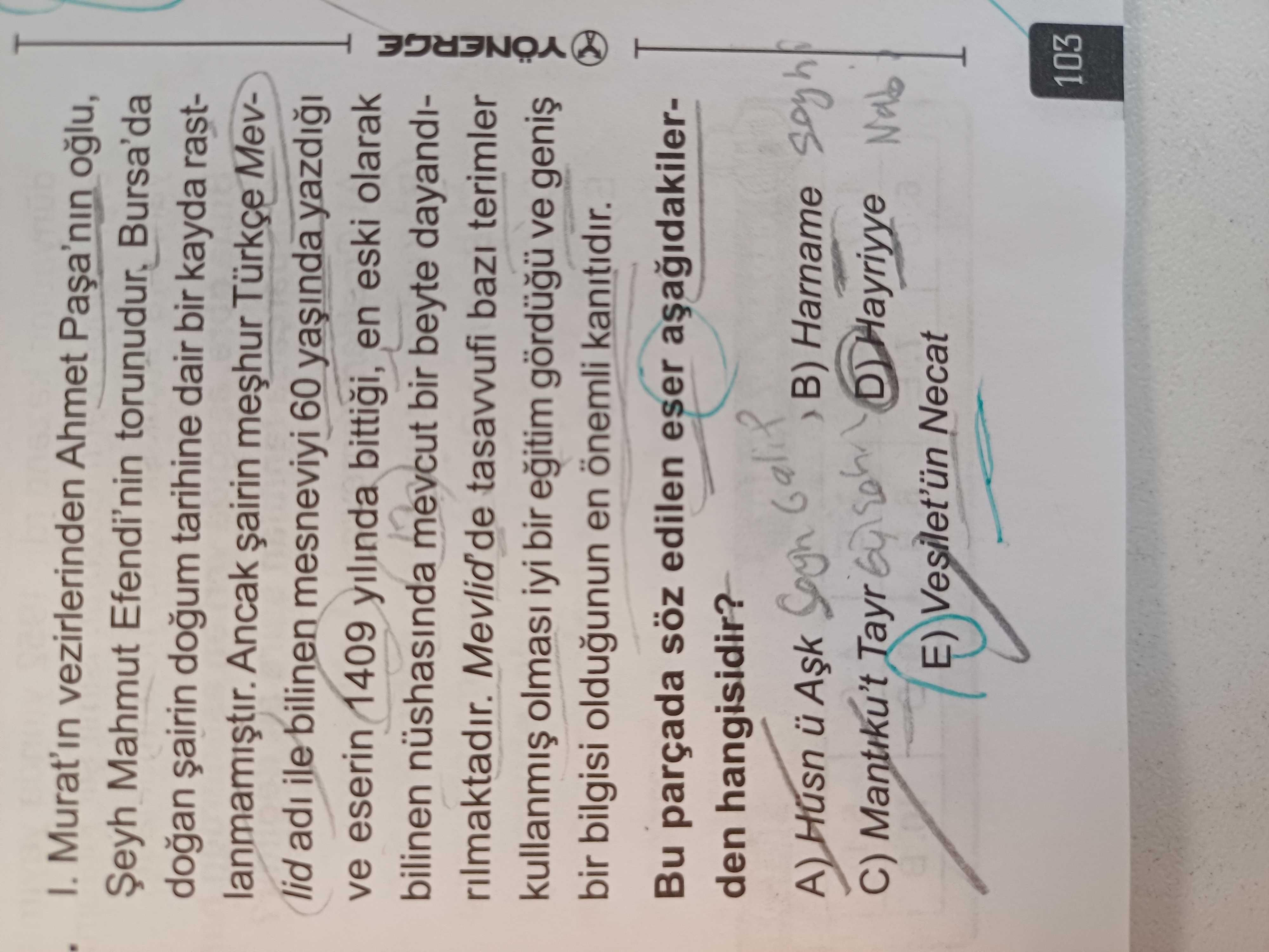I. Murat'ın vezirlerinden Ahmet Paşa'nın oğlu, Şeyh Mahmut Efendi'nin torunudur. Bursa'da doğan