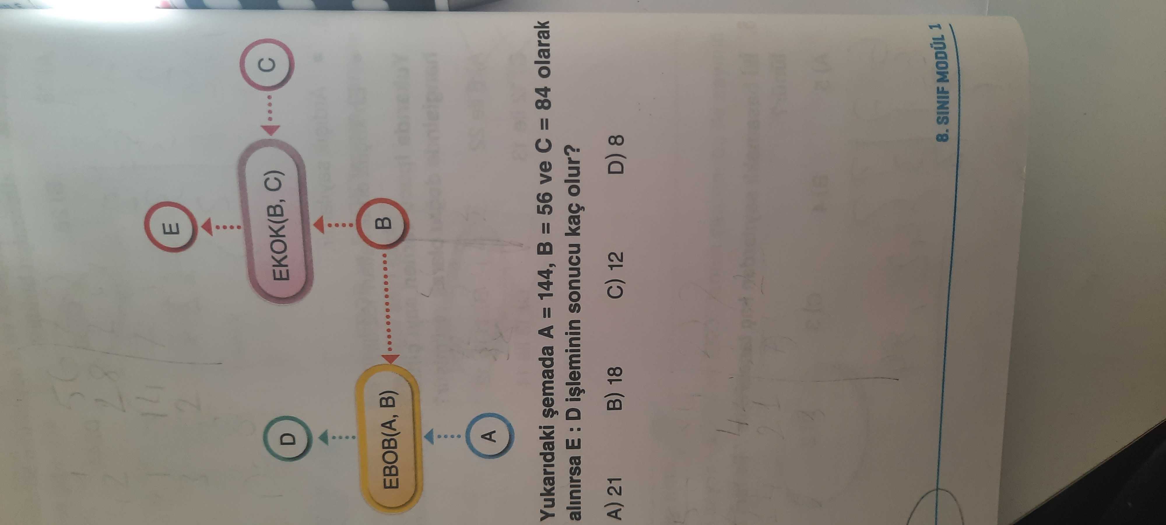 Matematik (8. Sınıf)
