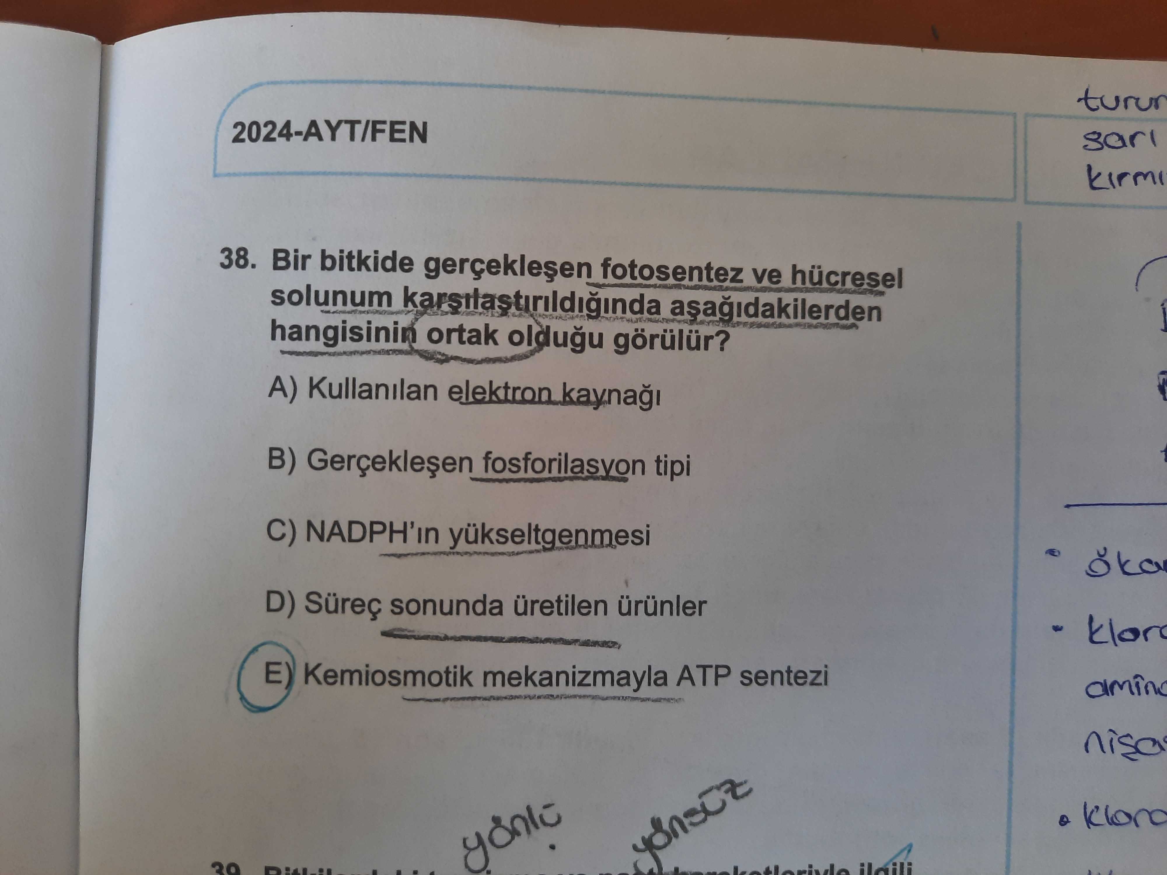Bir bitkide gerçekleşen fotosentez ve hücresel solunum karşılaştırıldığında aşağıdakilerden