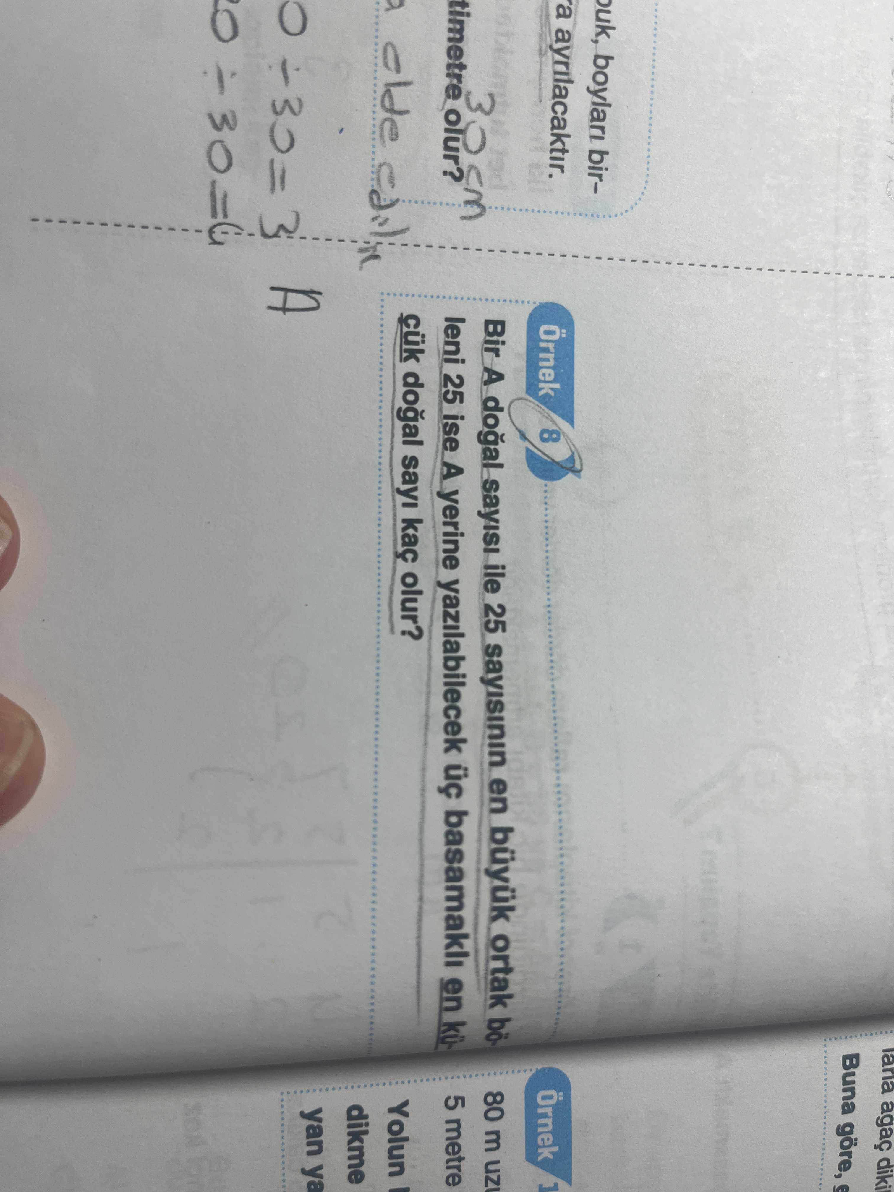 Matematik (8. Sınıf)