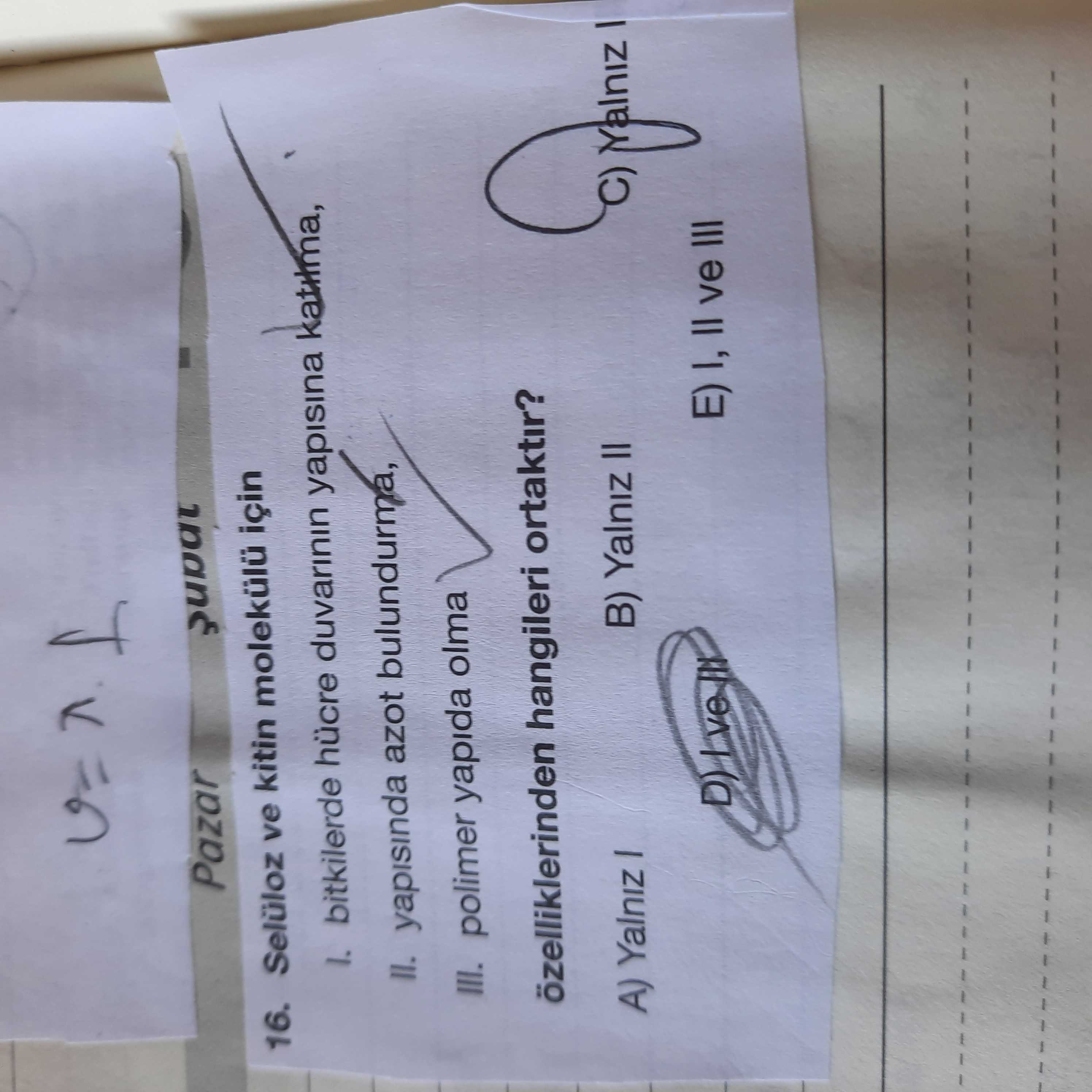 Selüloz ve kitin molekülü için I. bitkilerde hücre duvarının yapısına katılma, II. yapısında azot