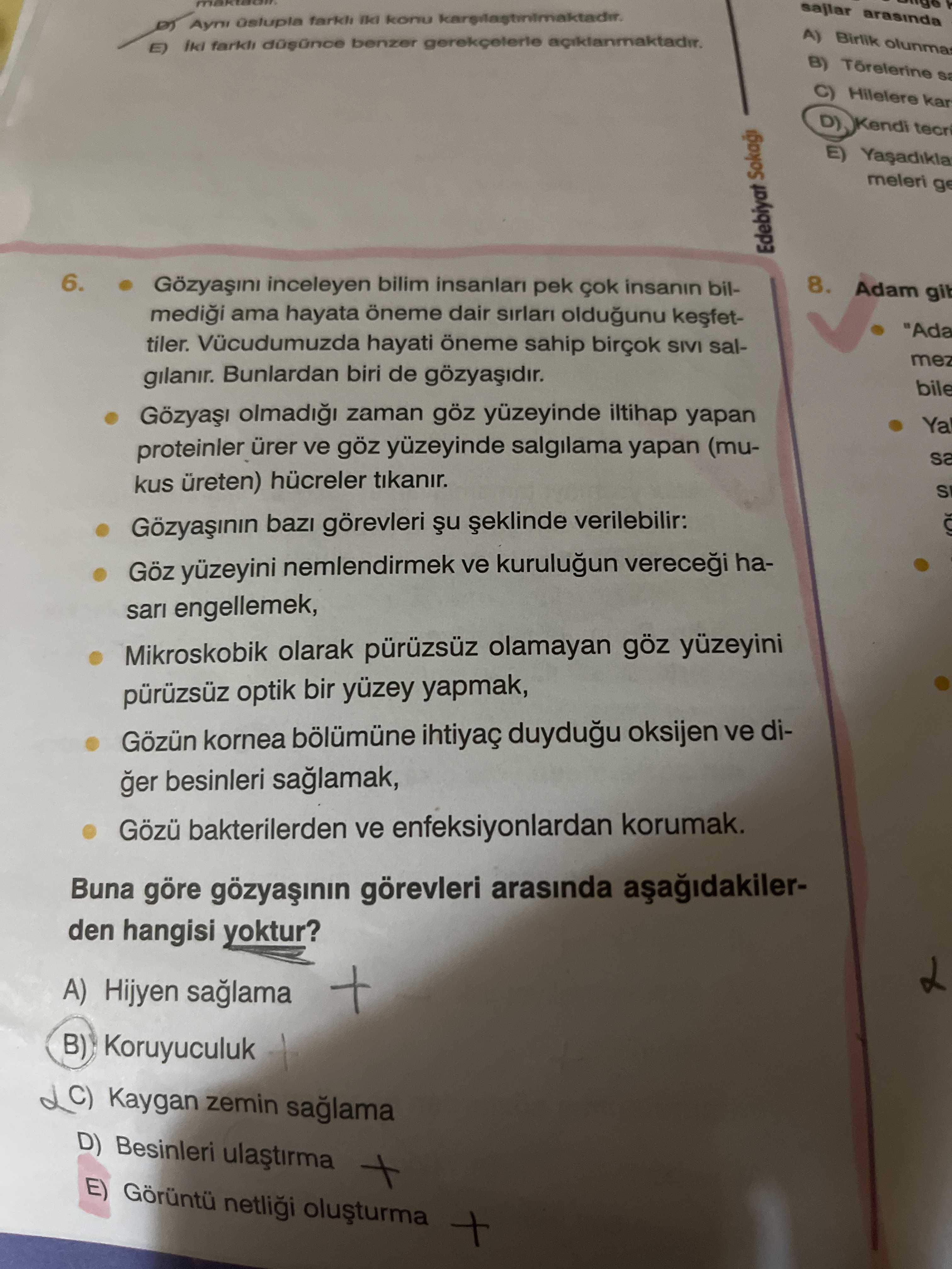 Türkçe (12. Sınıf)