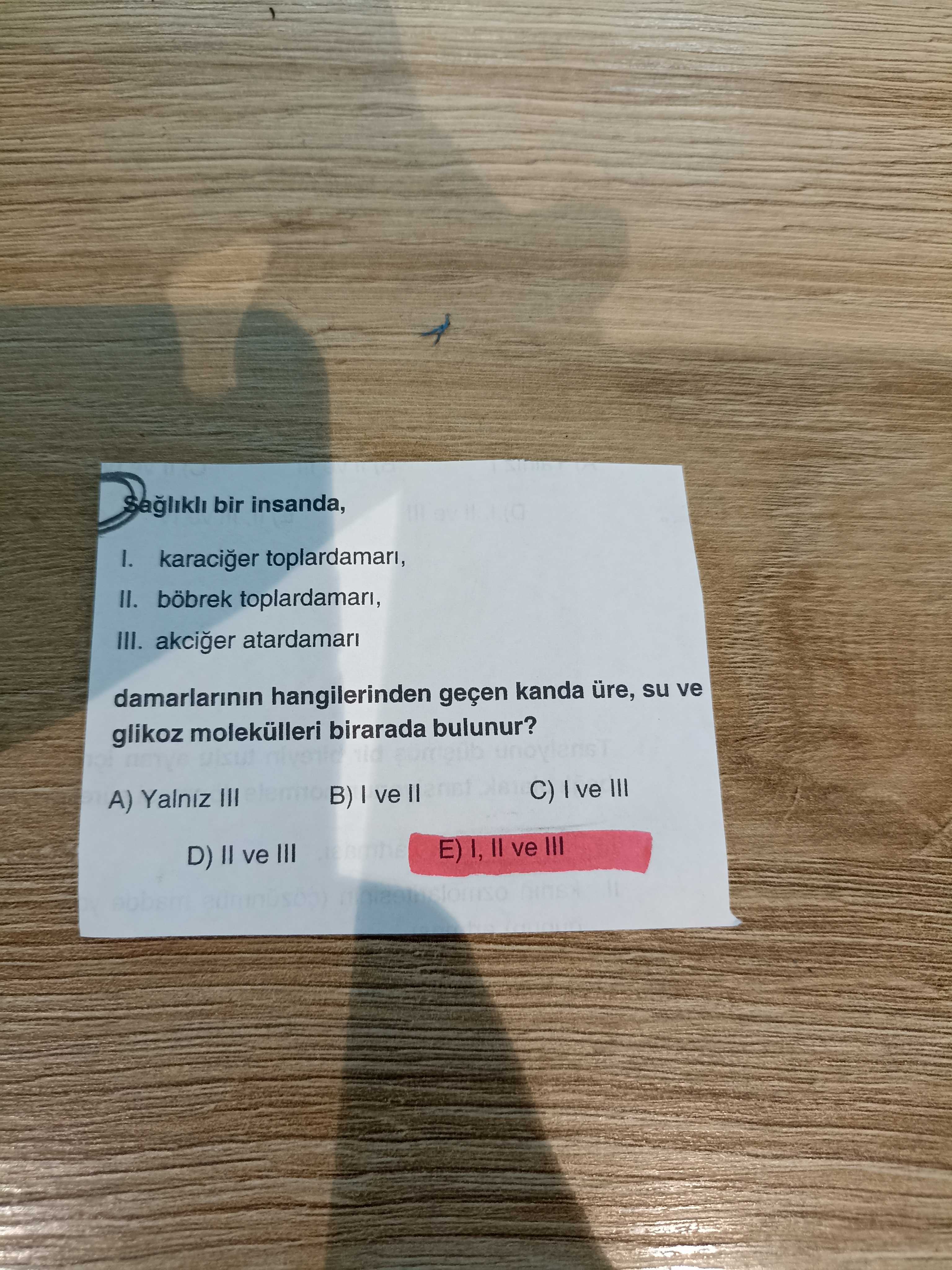 Sağlıklı bir insanda, I. karaciğer toplardamarı, II. böbrek toplardamarı, III. akciğer atardamarı