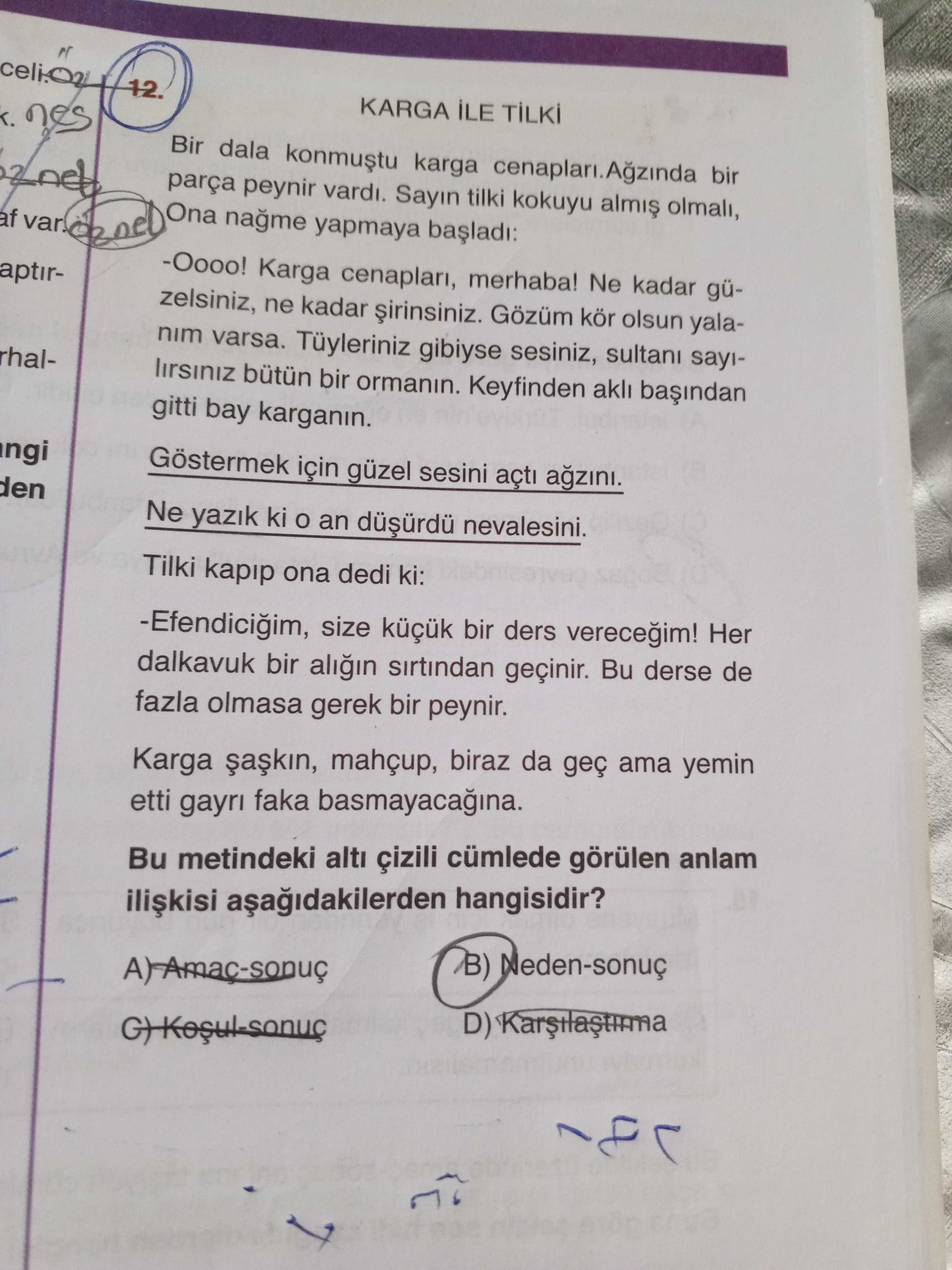Türkçe (8. Sınıf)