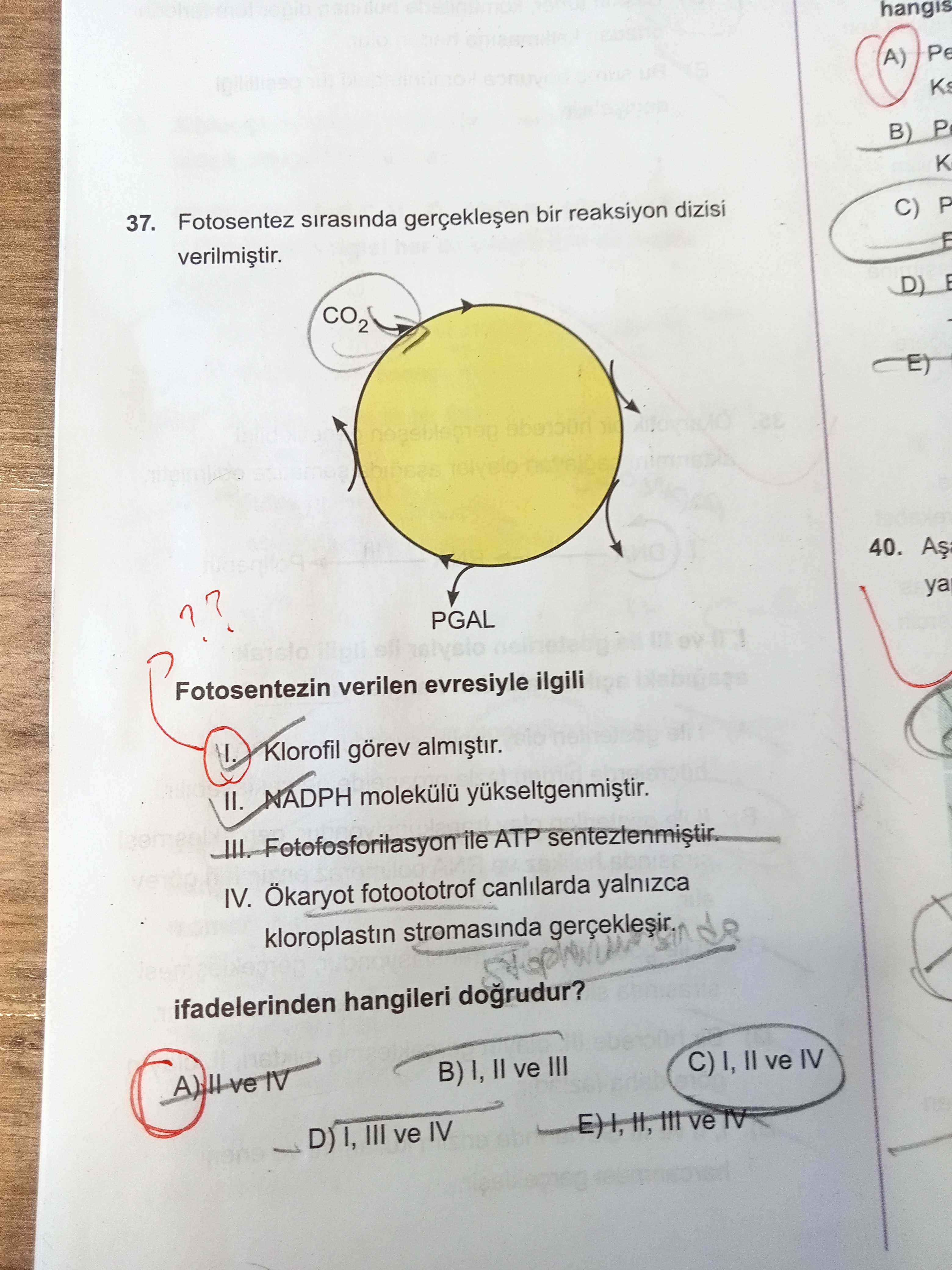 Fotosentez sırasında gerçekleşen bir reaksiyon dizisi verilmiştir. Fotosentezin verilen evresiyle