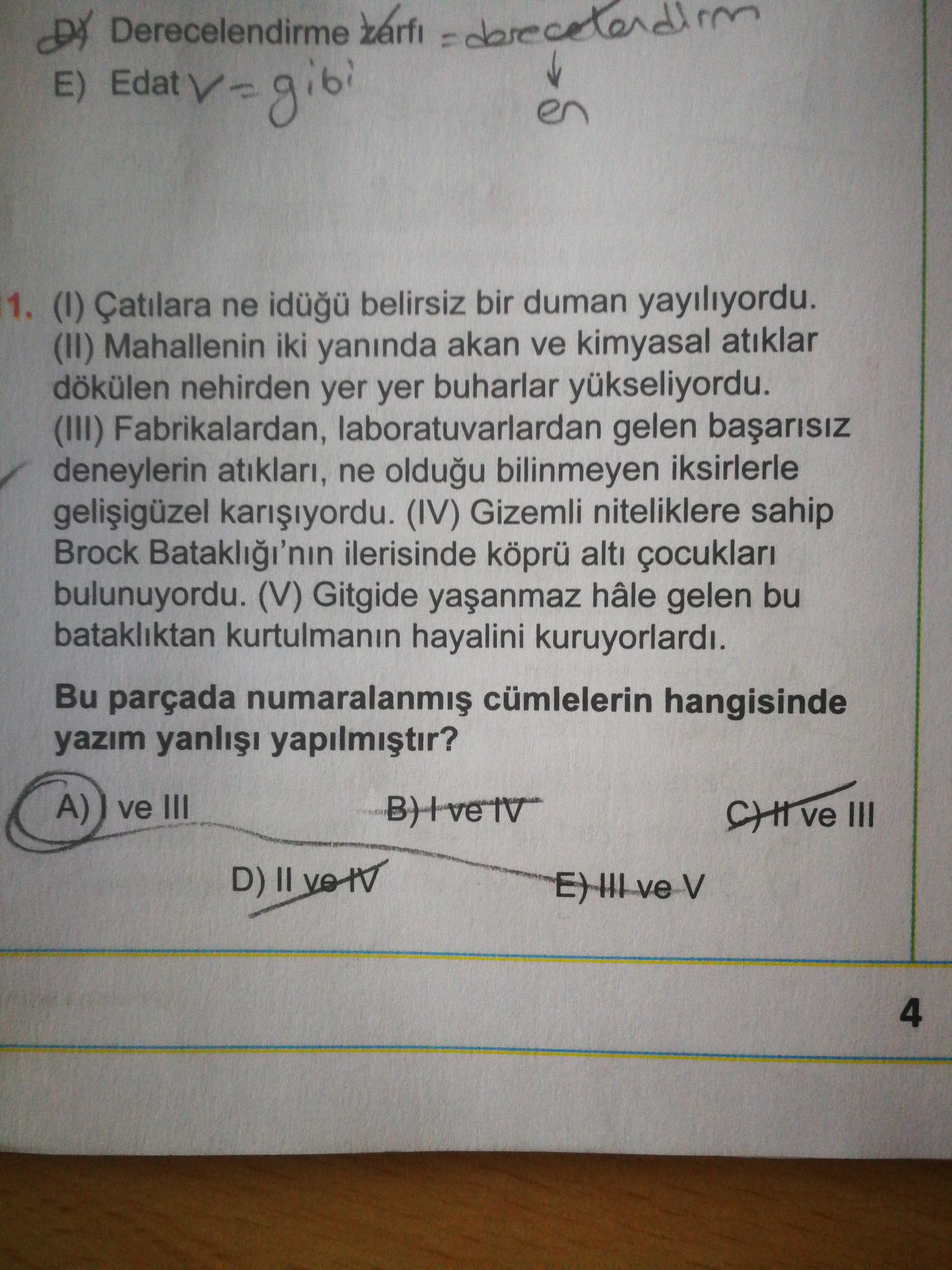 Türkçe (12. Sınıf)