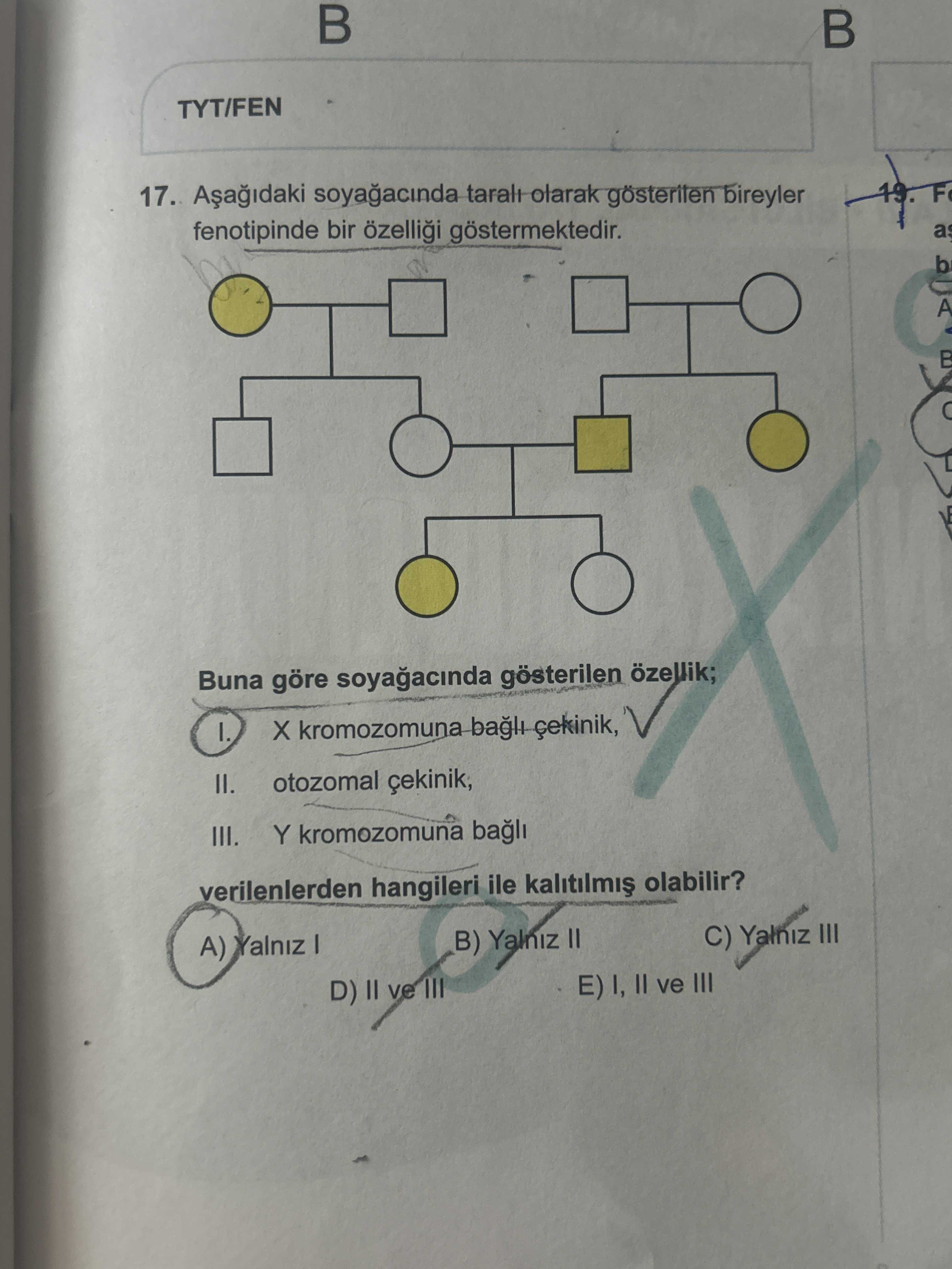 Aşağıdaki soyağacında taralı olarak gösterilen bireyler fenotipinde bir özelliği göstermektedir