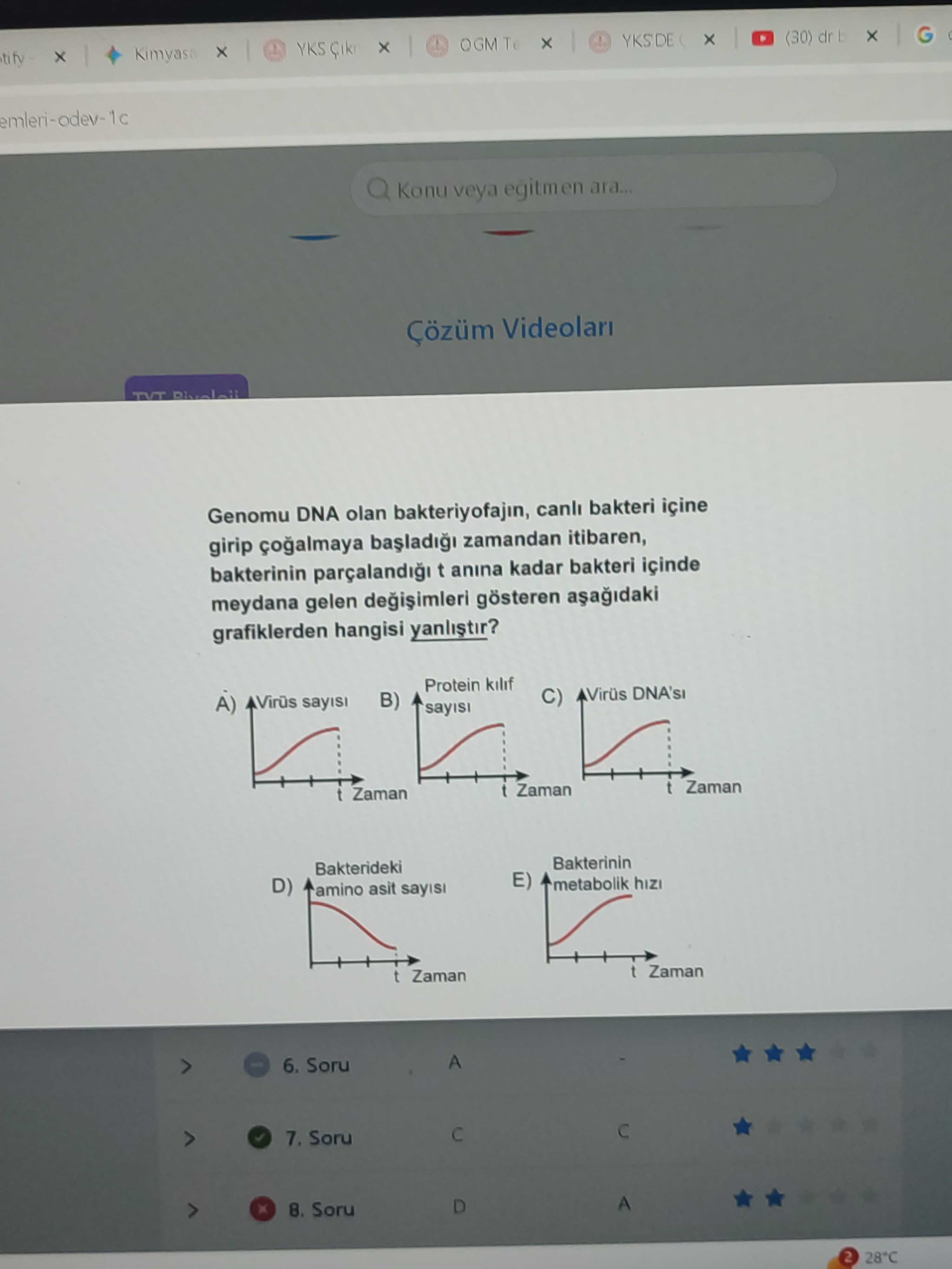 Genomu DNA olan bakteriyofajın, canlı bakteri içine girip çoğalmaya başladığı zamandan itibaren
