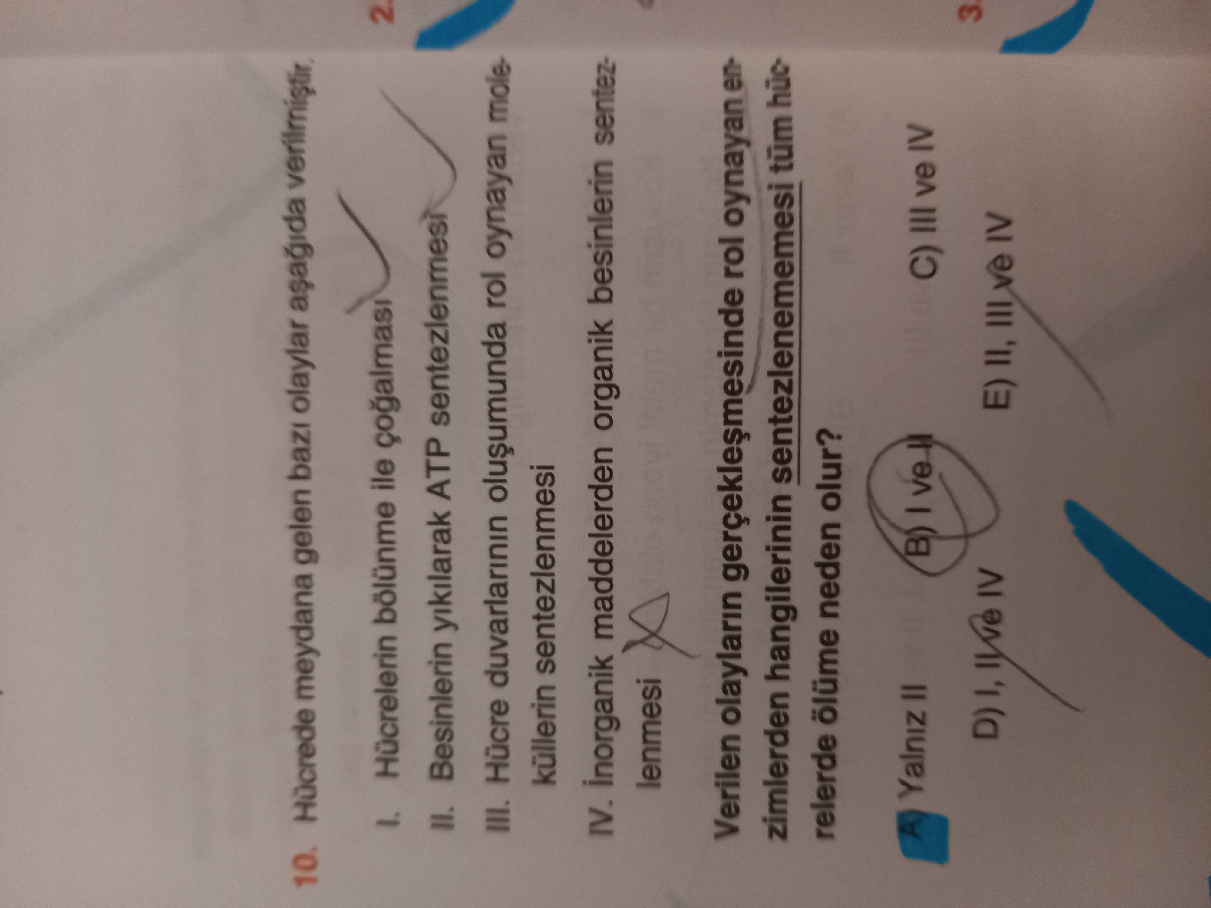 Biyoloji (12. Sınıf)