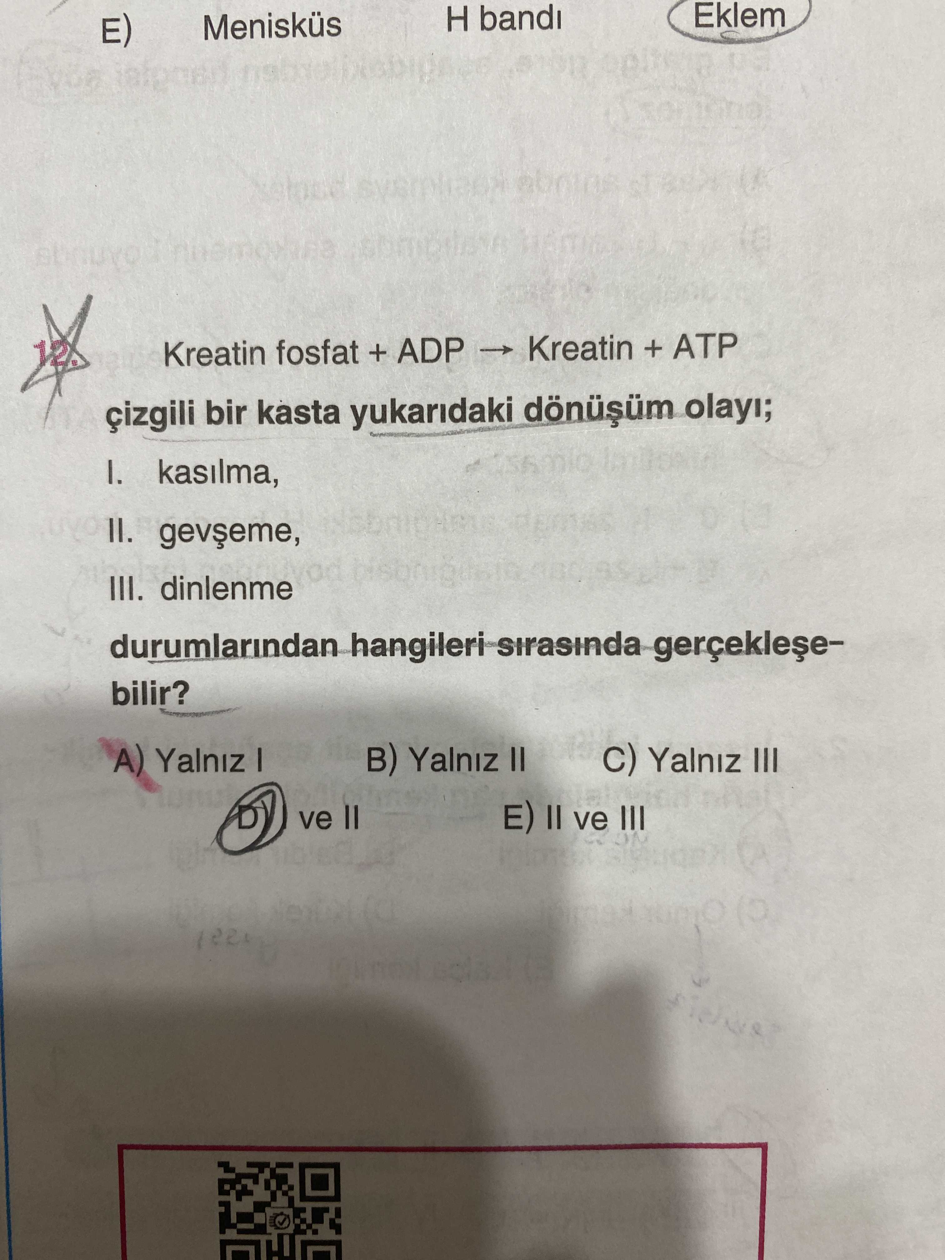 Kreatin fosfat + ADP → Kreatin + ATP çizgili bir kasta yukarıdaki dönüşüm olayı; I. kasılma, II