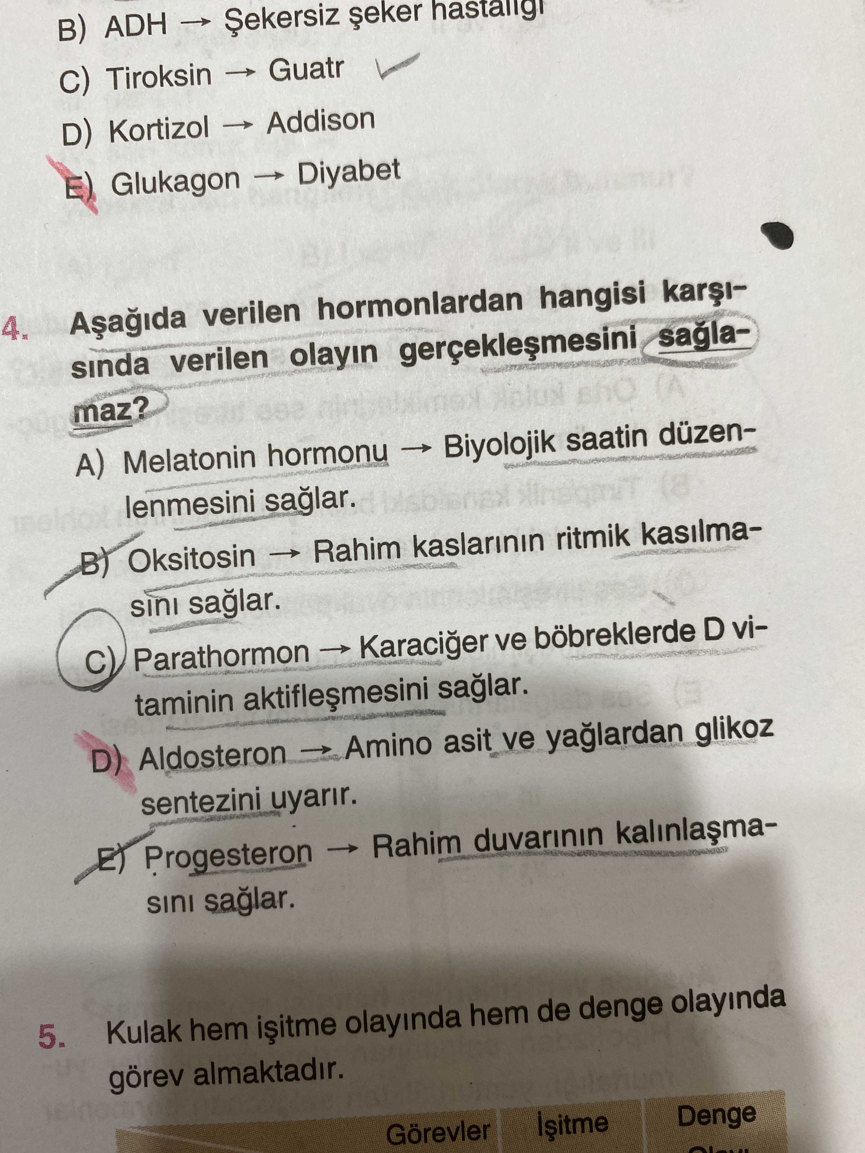 Aşağıda verilen hormonlardan hangisi karşısında verilen olayın gerçekleşmesini sağlamaz?