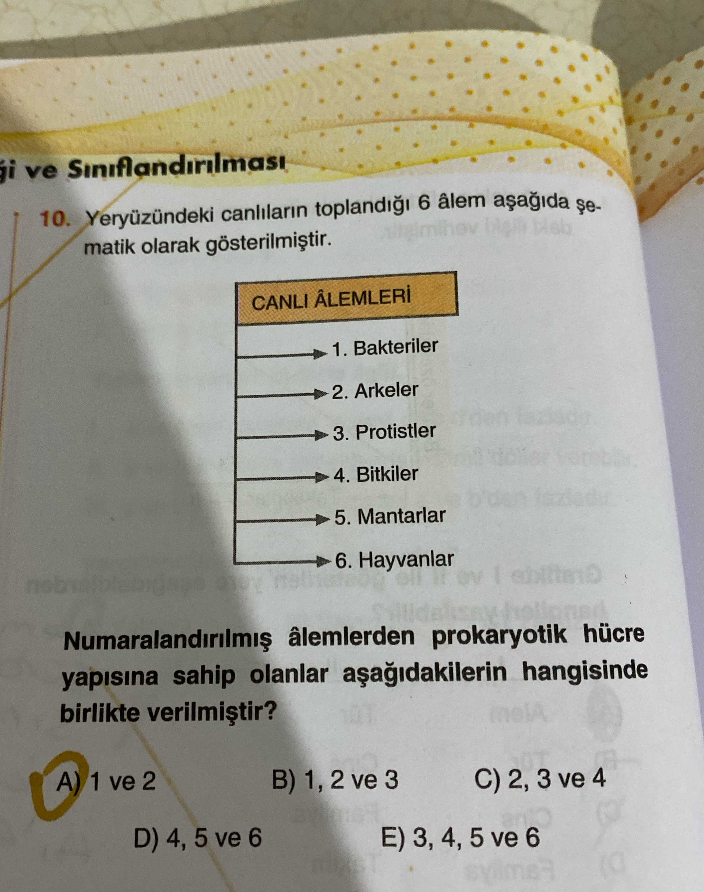 Yeryüzündeki canlıların toplandığı 6 âlem aşağıda şematik olarak gösterilmiştir. CANLI ÂLEMLERİ → 1
