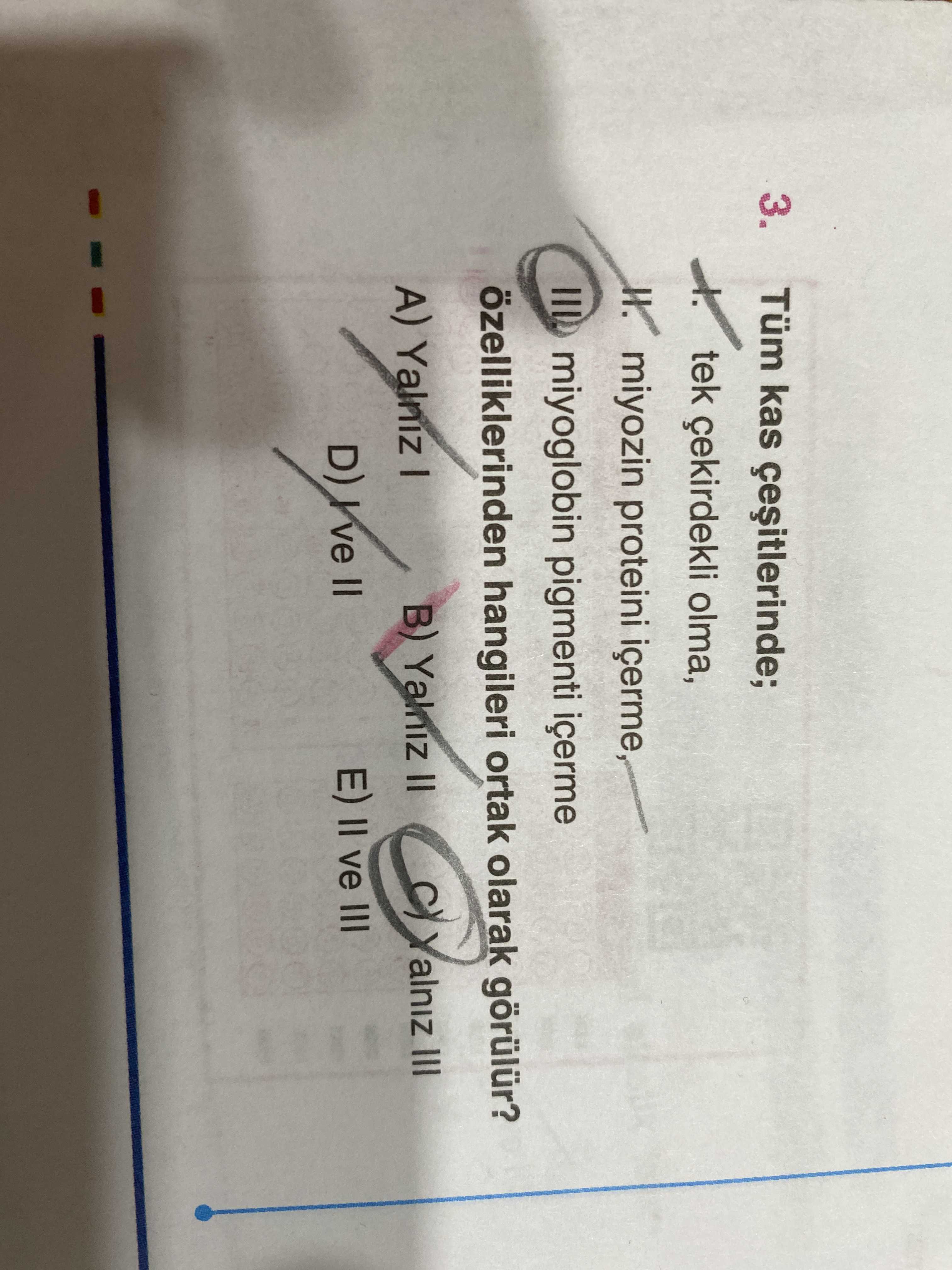 Tüm kas çeşitlerinde; I. tek çekirdekli olma, II. miyozin proteini içerme, III. miyoglobin pigmenti