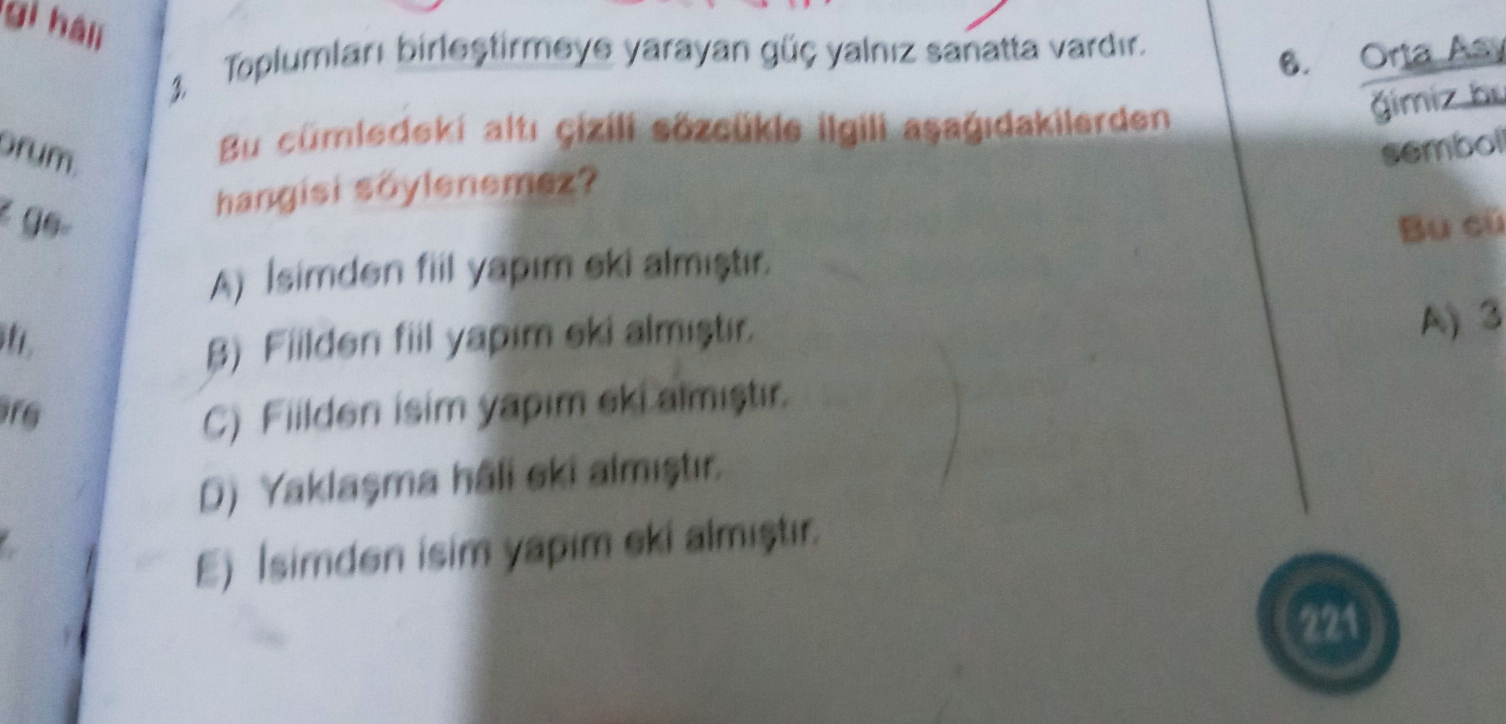 Türkçe (Mezun)