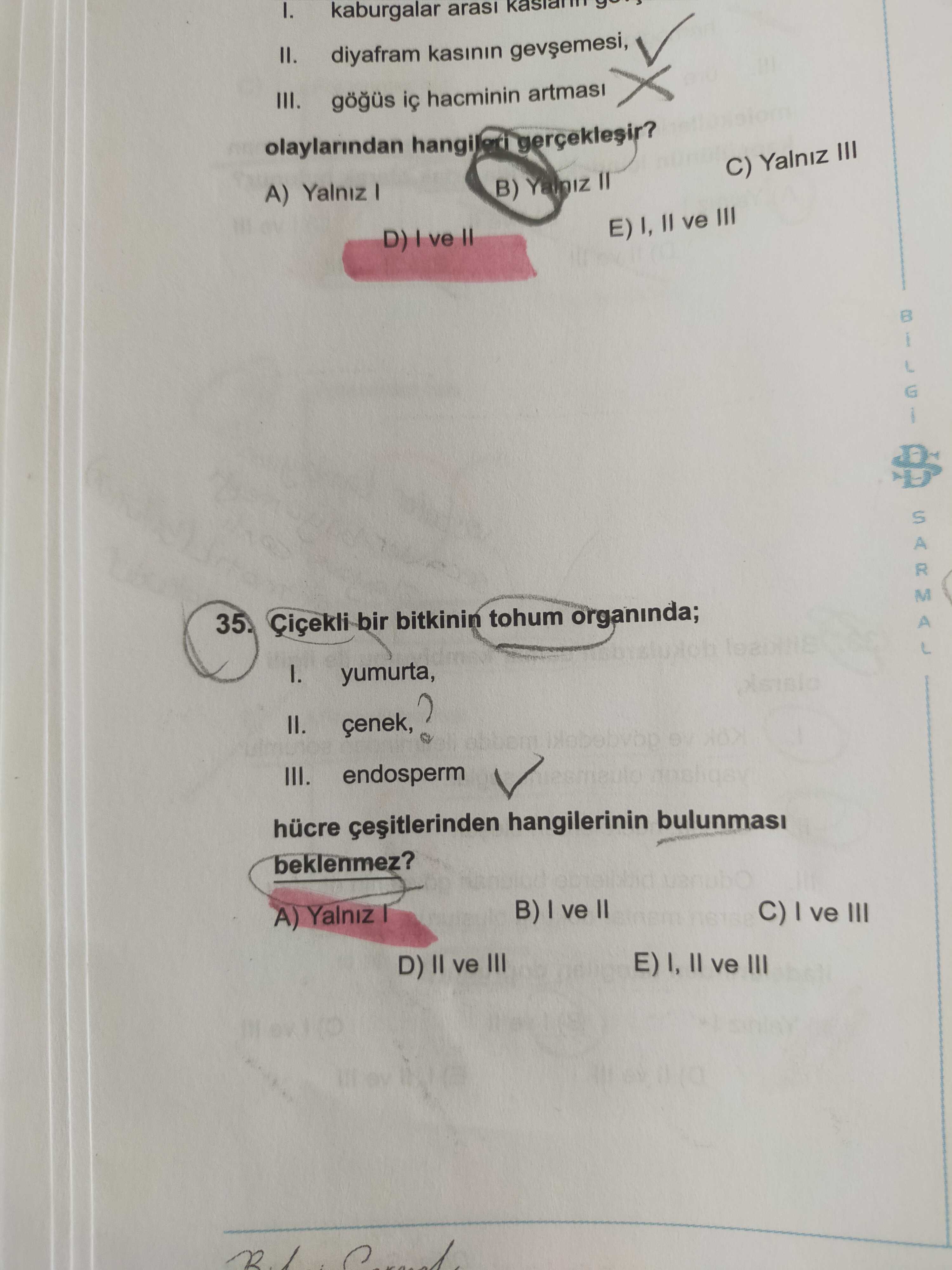Çiçekli bir bitkinin tohum organında; I. yumurta, II. çenek, III. endosperm hücre çeşitlerinden