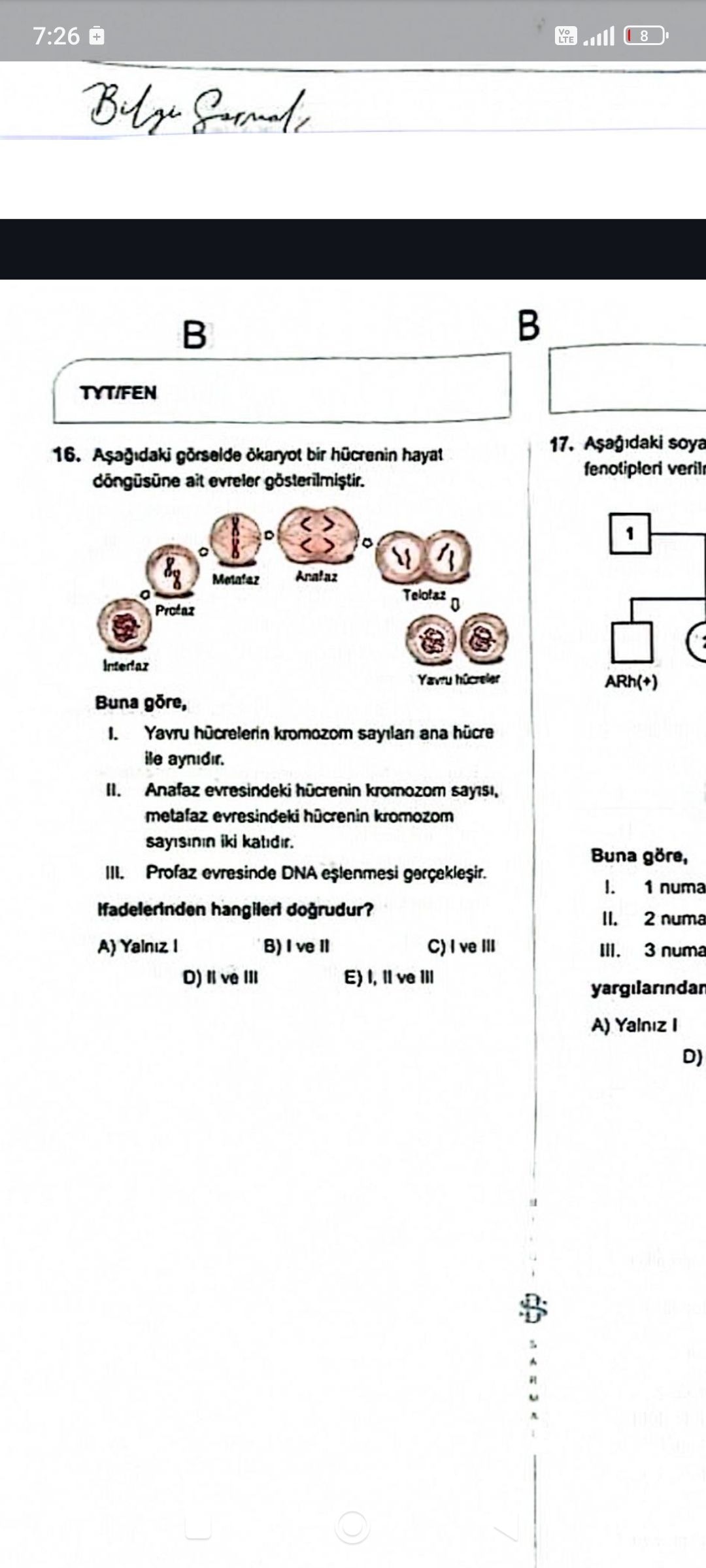 Aşağıdaki görselde ökaryot bir hücrenin hayat döngüsüne ait evreler gösterilmiştir. Buna göre, I