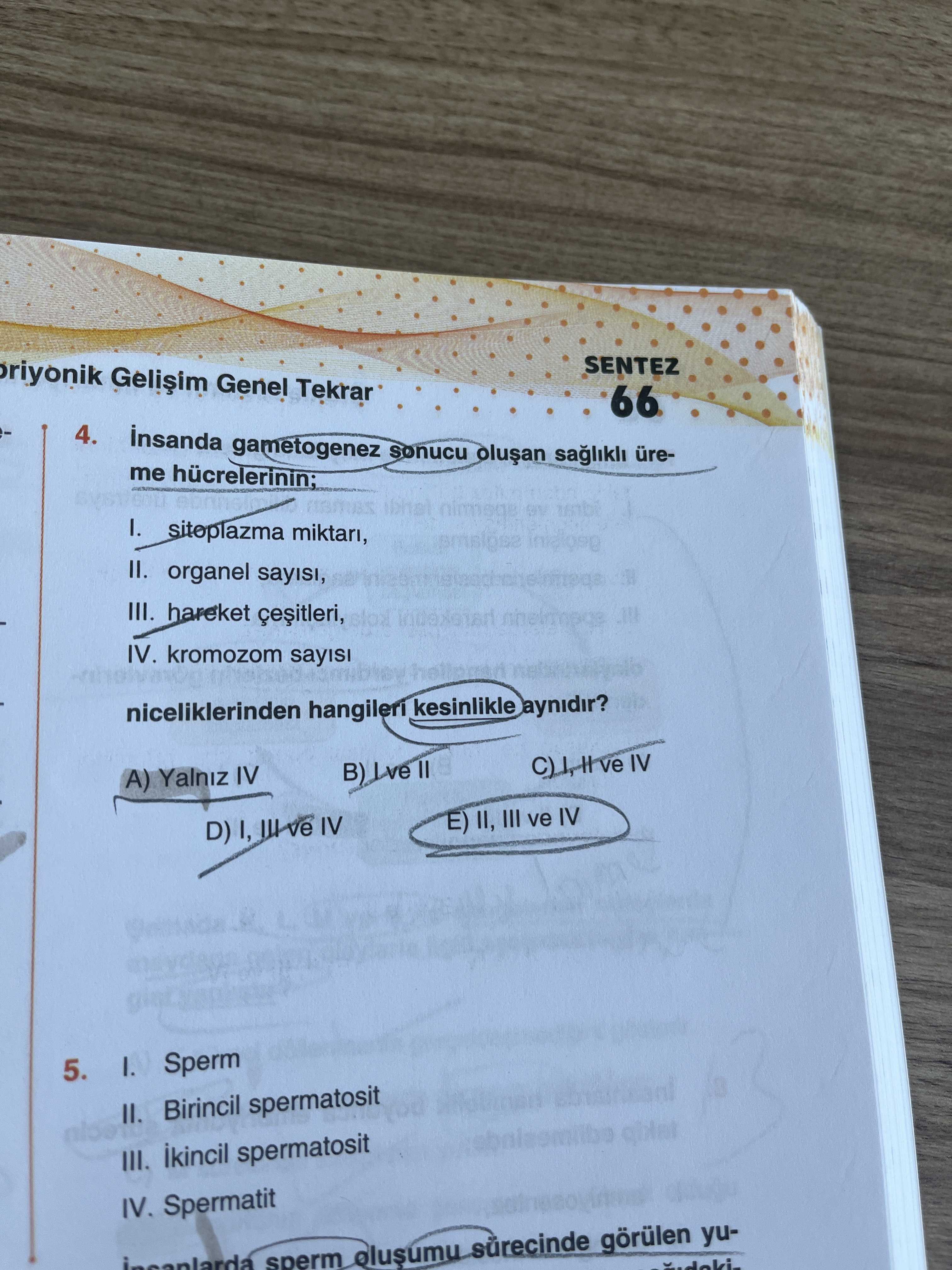 İnsanda gametogenez sonucu oluşan sağlıklı üreme hücrelerinin; I. sitoplazma miktarı, II. organel