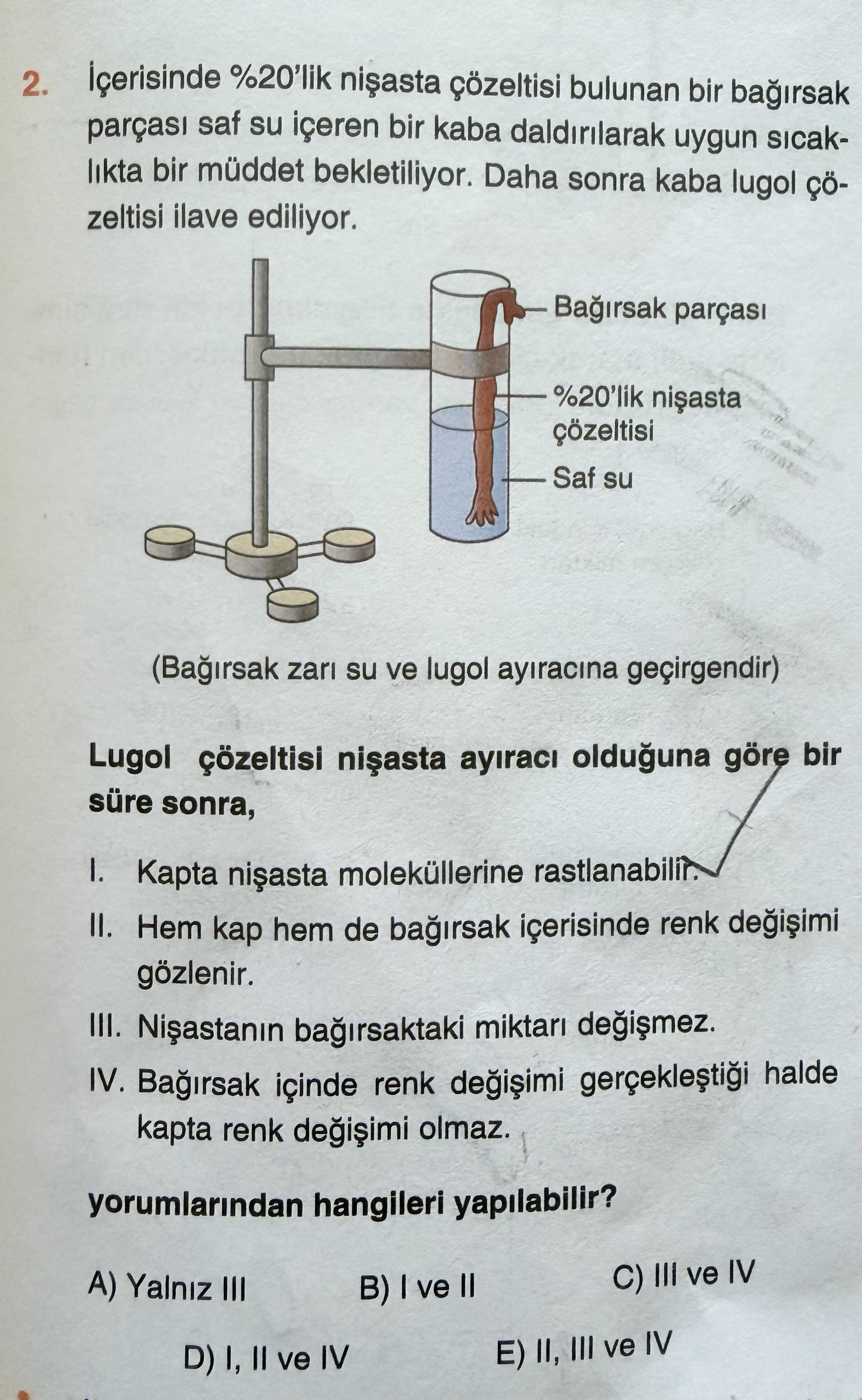 İçerisinde %20'lik nişasta çözeltisi bulunan bir bağırsak parçası saf su içeren bir kaba