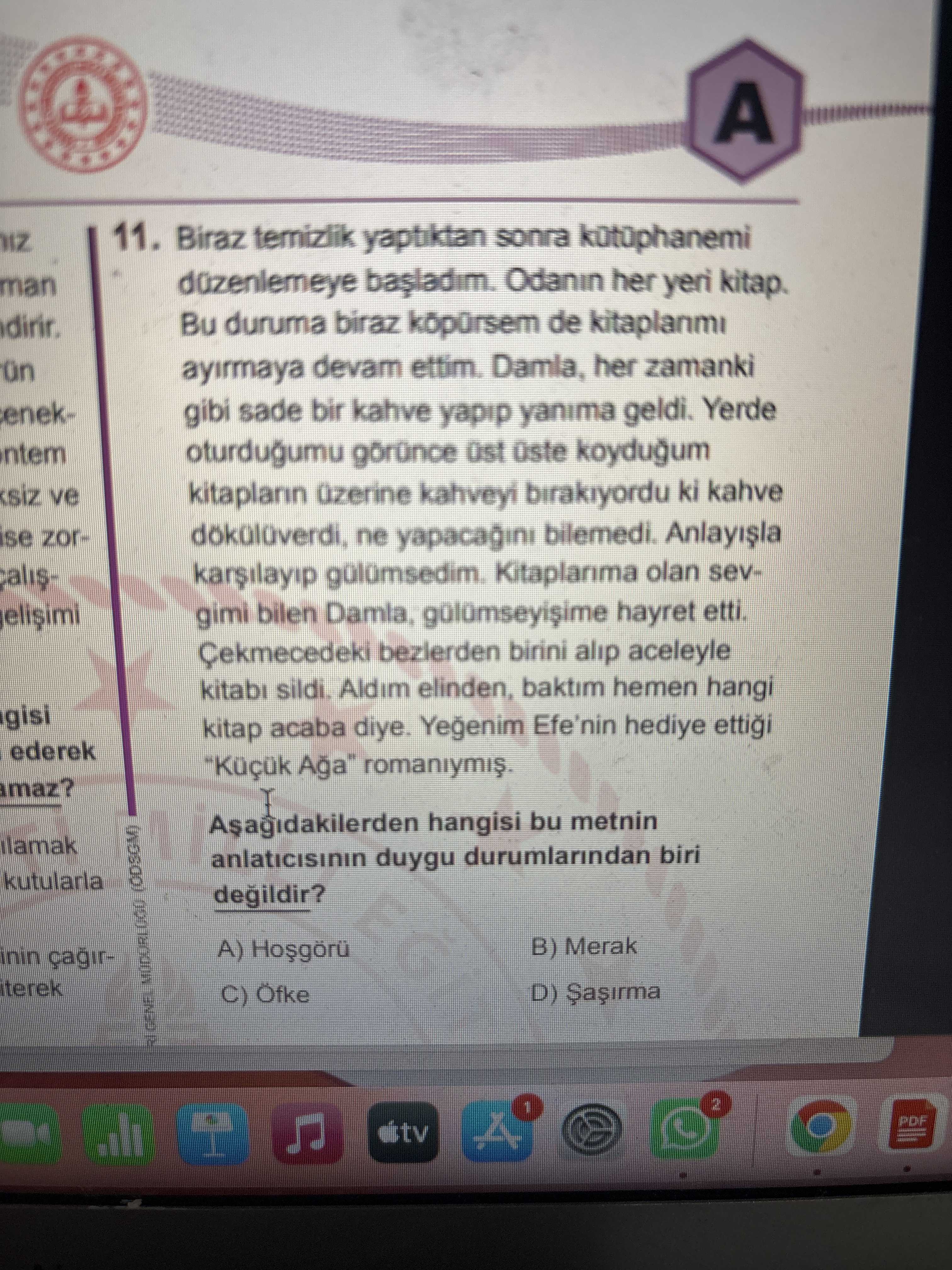 Biraz temizlik yaptıktan sonra kütüphanemi düzenlemeye başladım. Odanın her yeri kitap. Bu duruma
