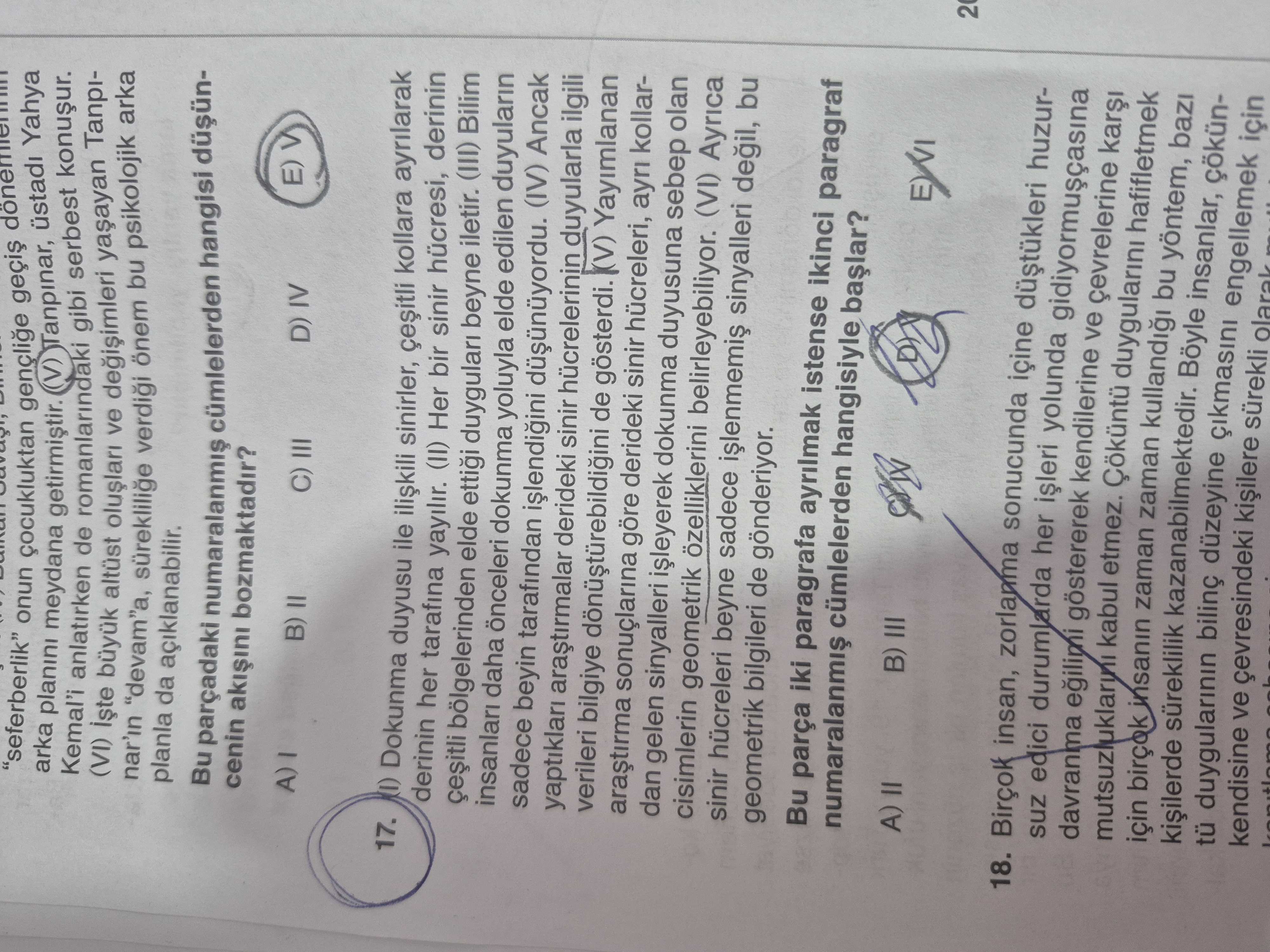 (I) Dokunma duyusu ile ilişkili sinirler, çeşitli kollara ayrılarak derinin her tarafına yayılır
