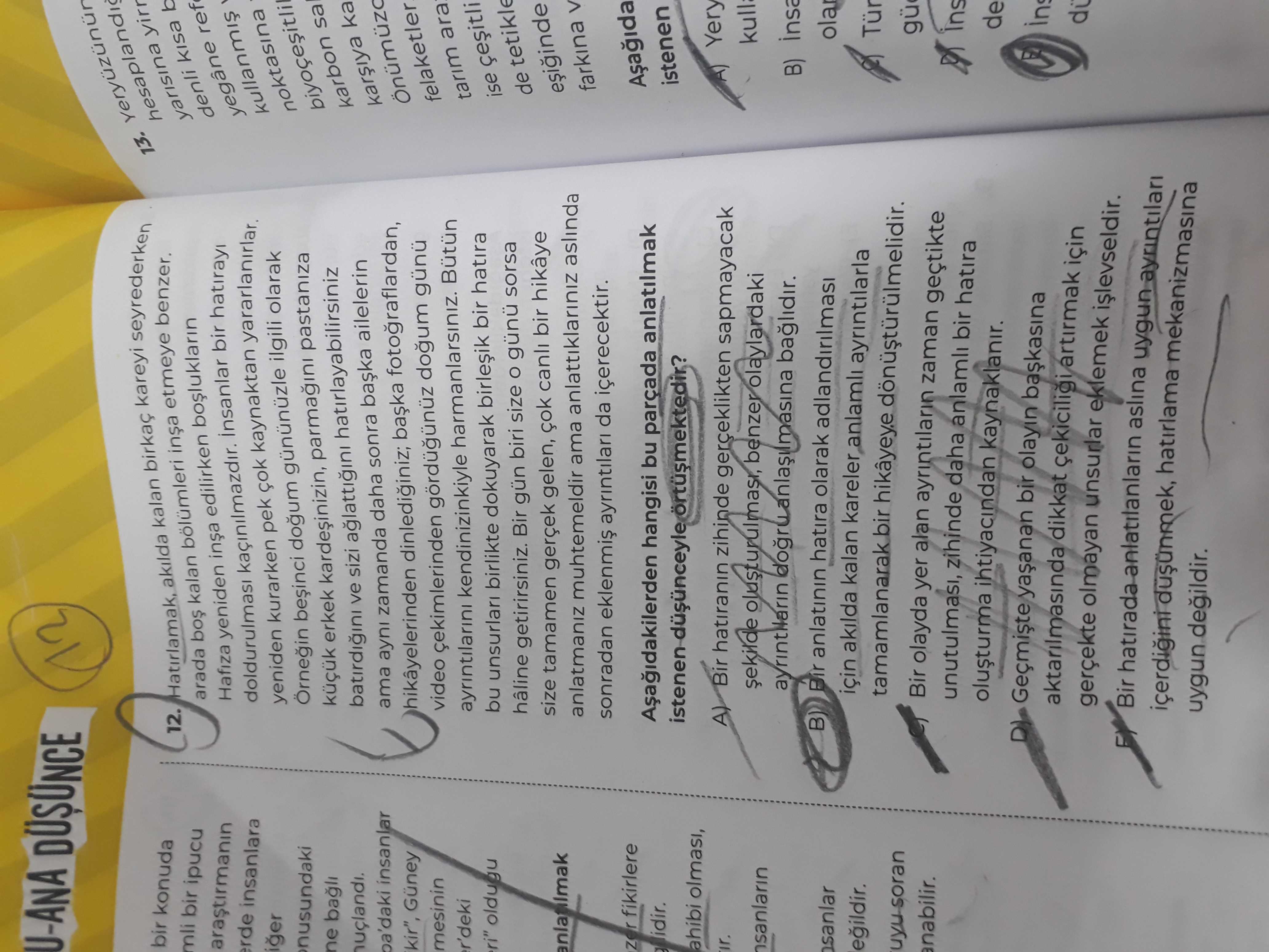 Türk Dili ve Edebiyatı  (11. Sınıf)